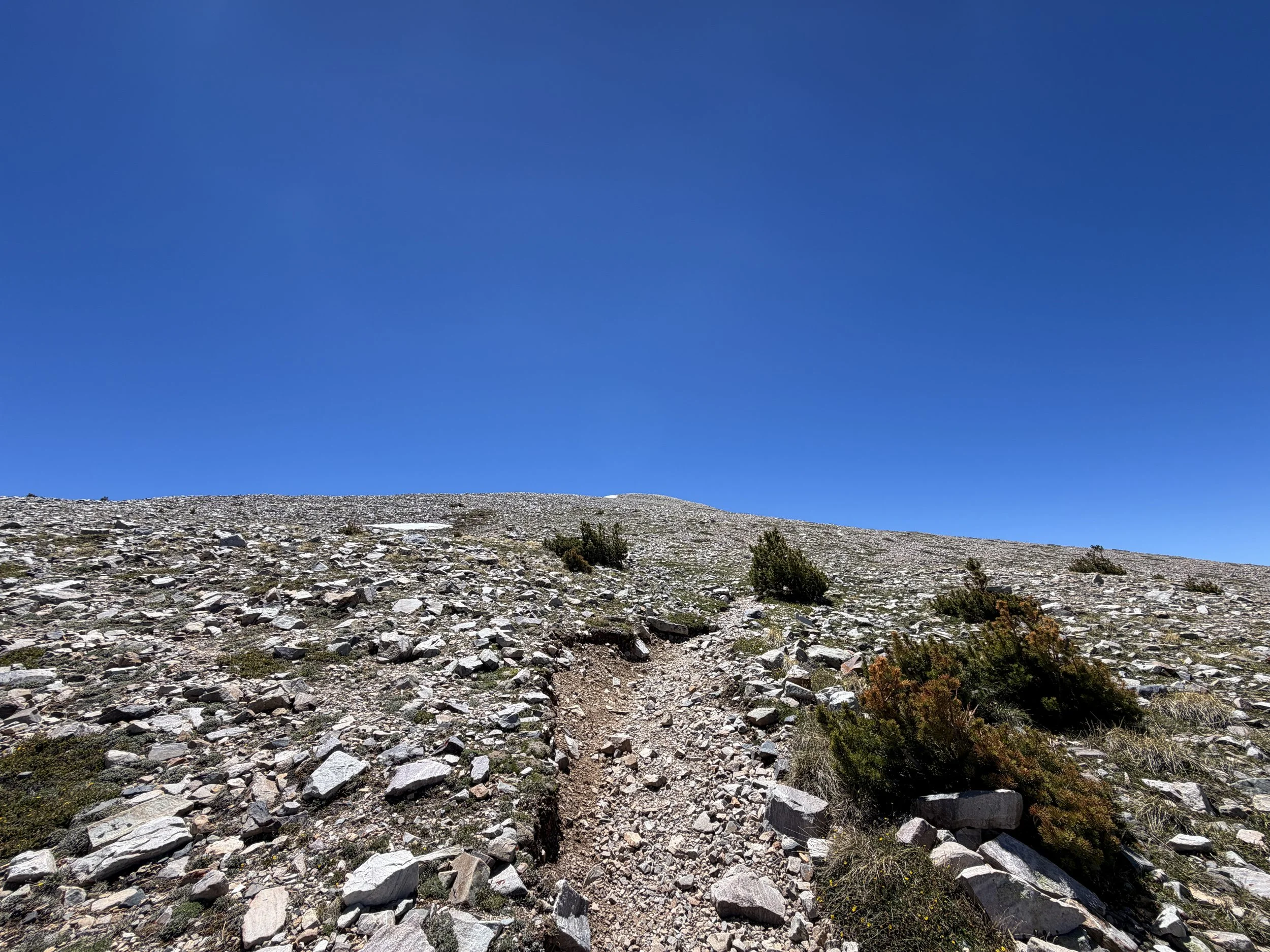 Wheeler Peak Summit Trail Great Basin National Park Nevada