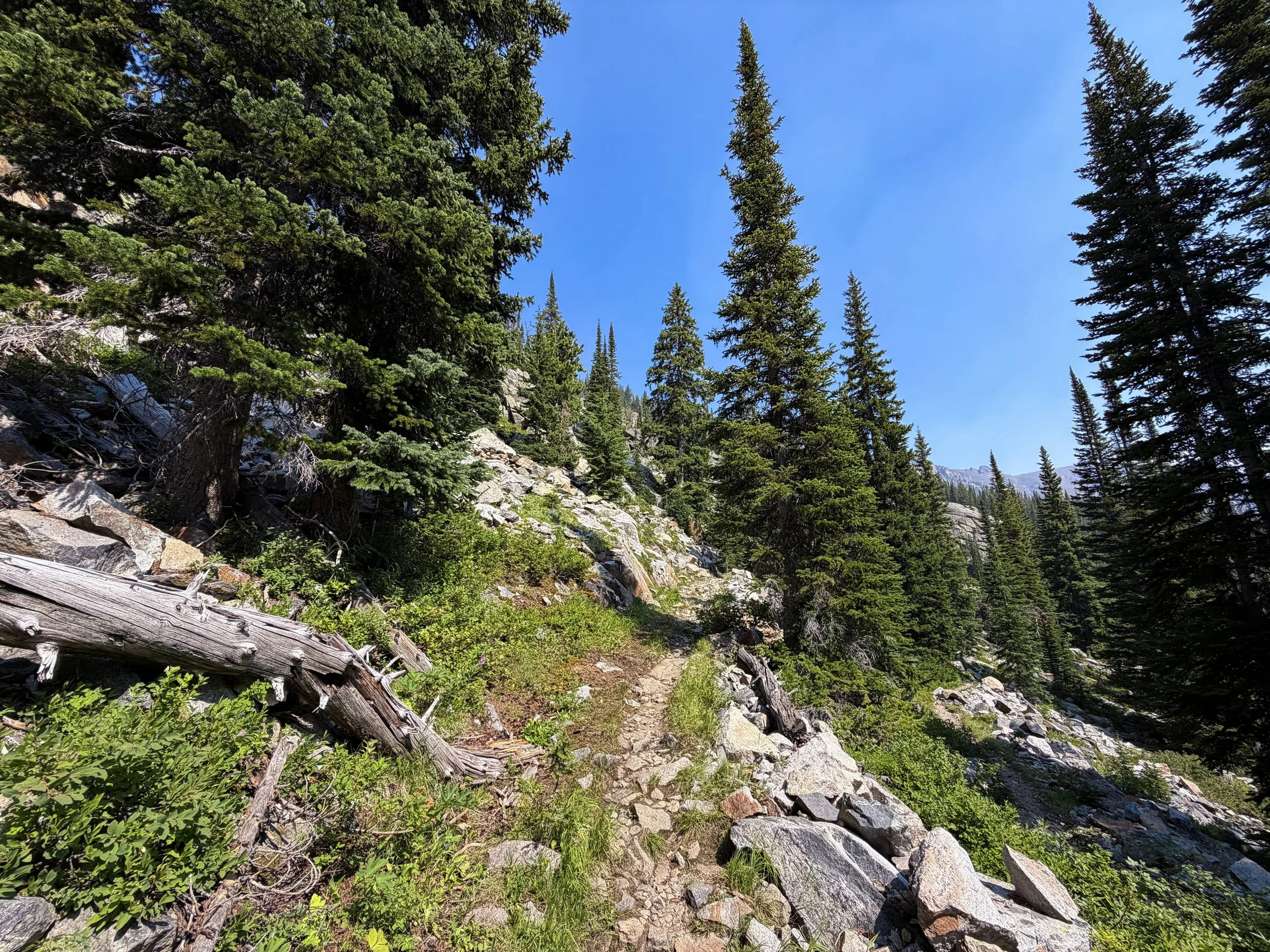 East Rosebud Trail The Beaten Path Beartooth Mountains Montana