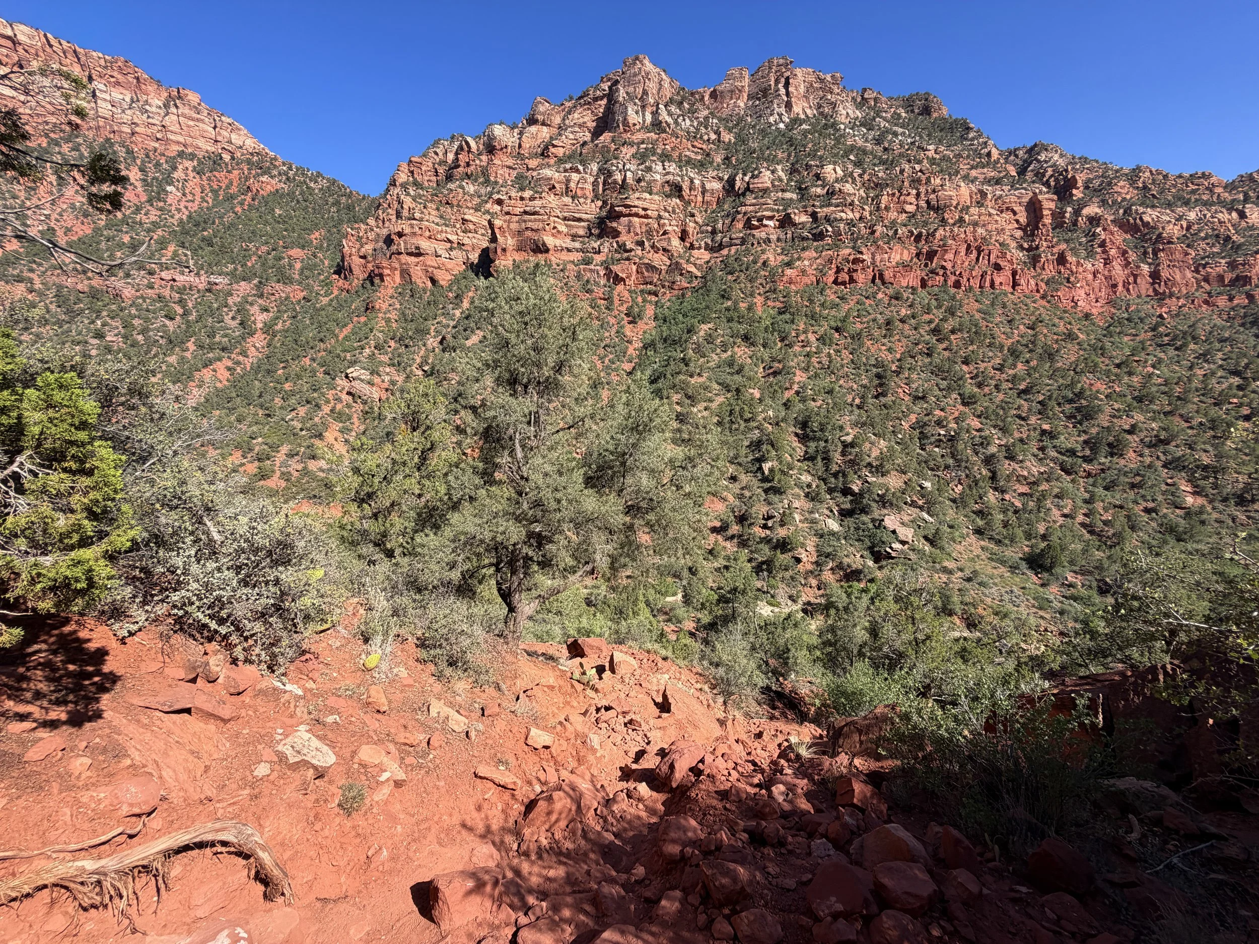 Subway Trail Left Fork North Creek Zion National Park Utah