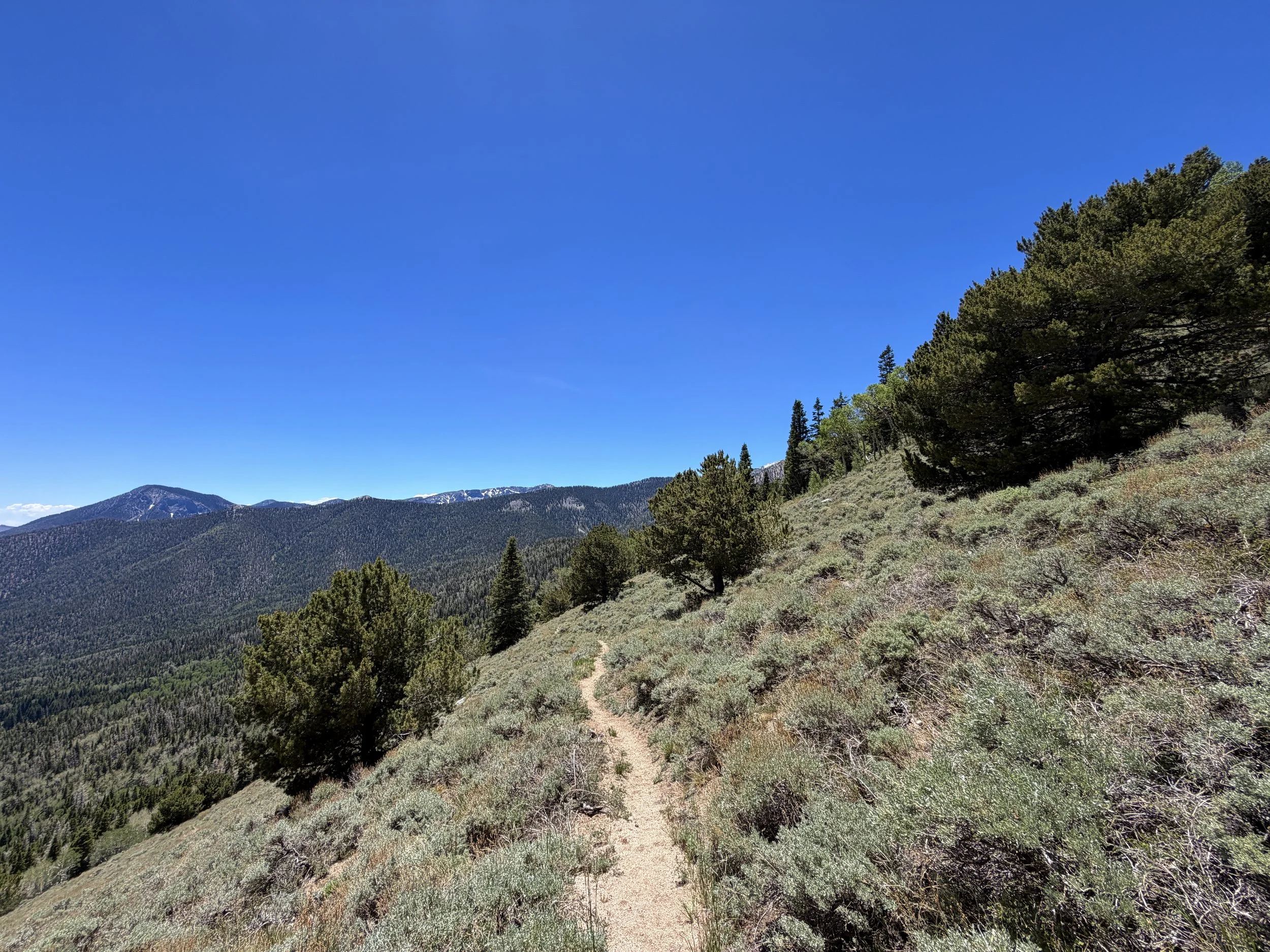 Timber Creek Trail to Johnson Lake Trail Great Basin National Park Nevada