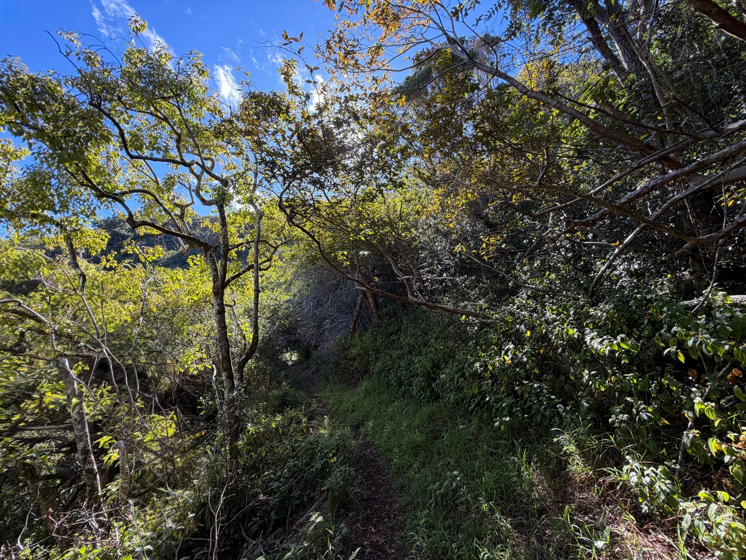 Mokuleia Trail Oahu Hawaii