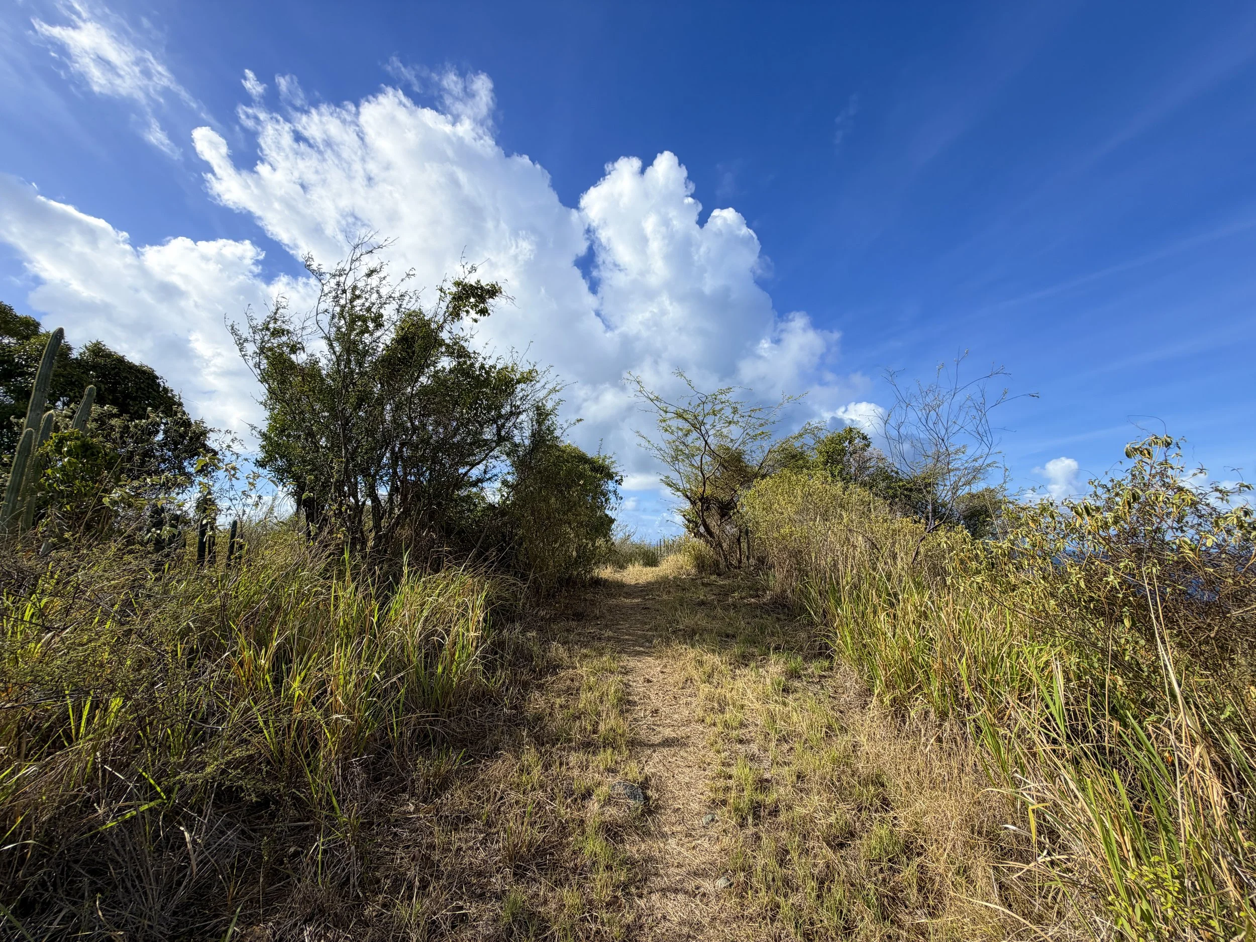 Tektite and Cabritte Horn Trail Virgin Islands National Park