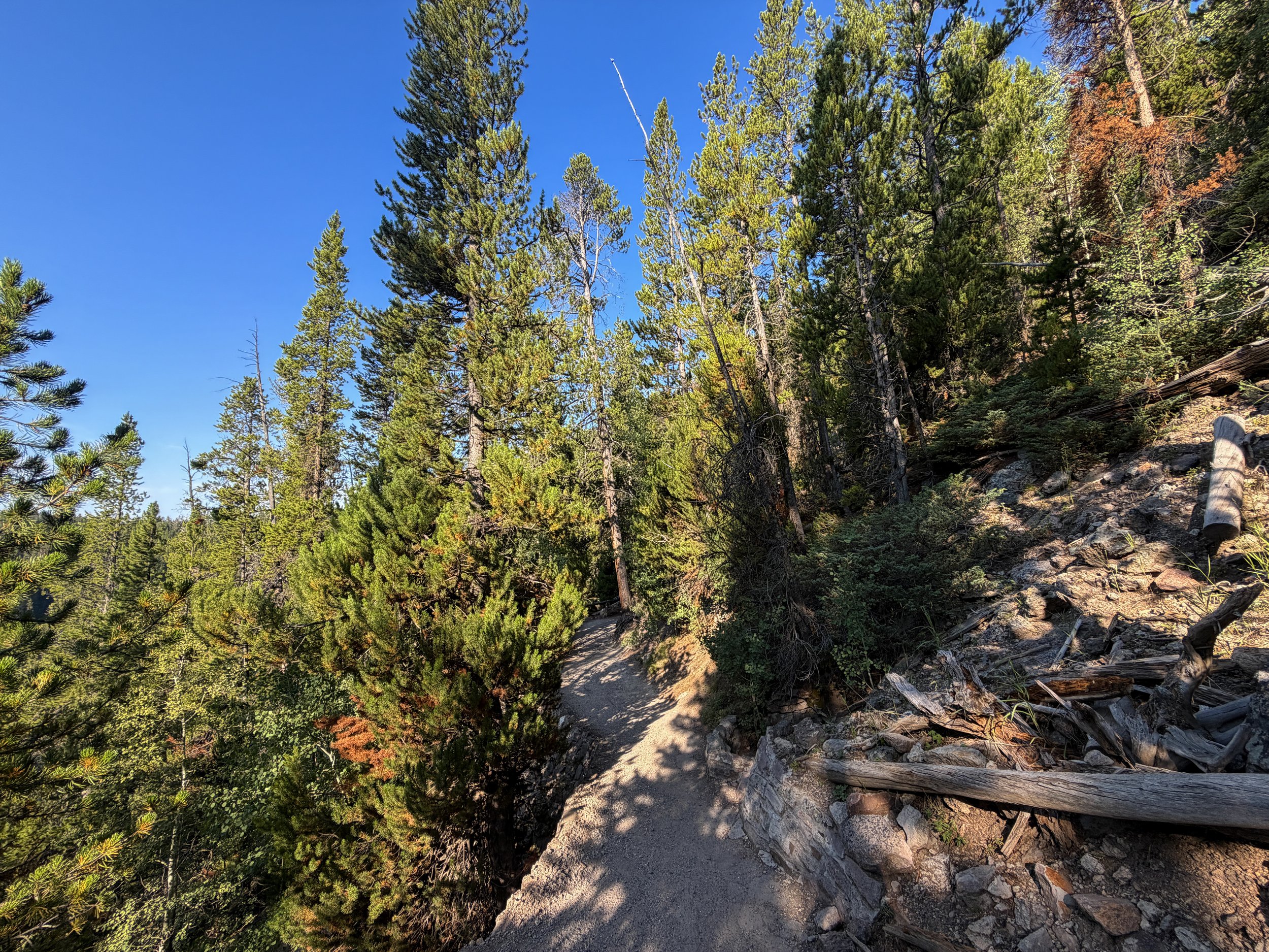 Brink of the Lower Falls Trail Yellowstone National Park Wyoming
