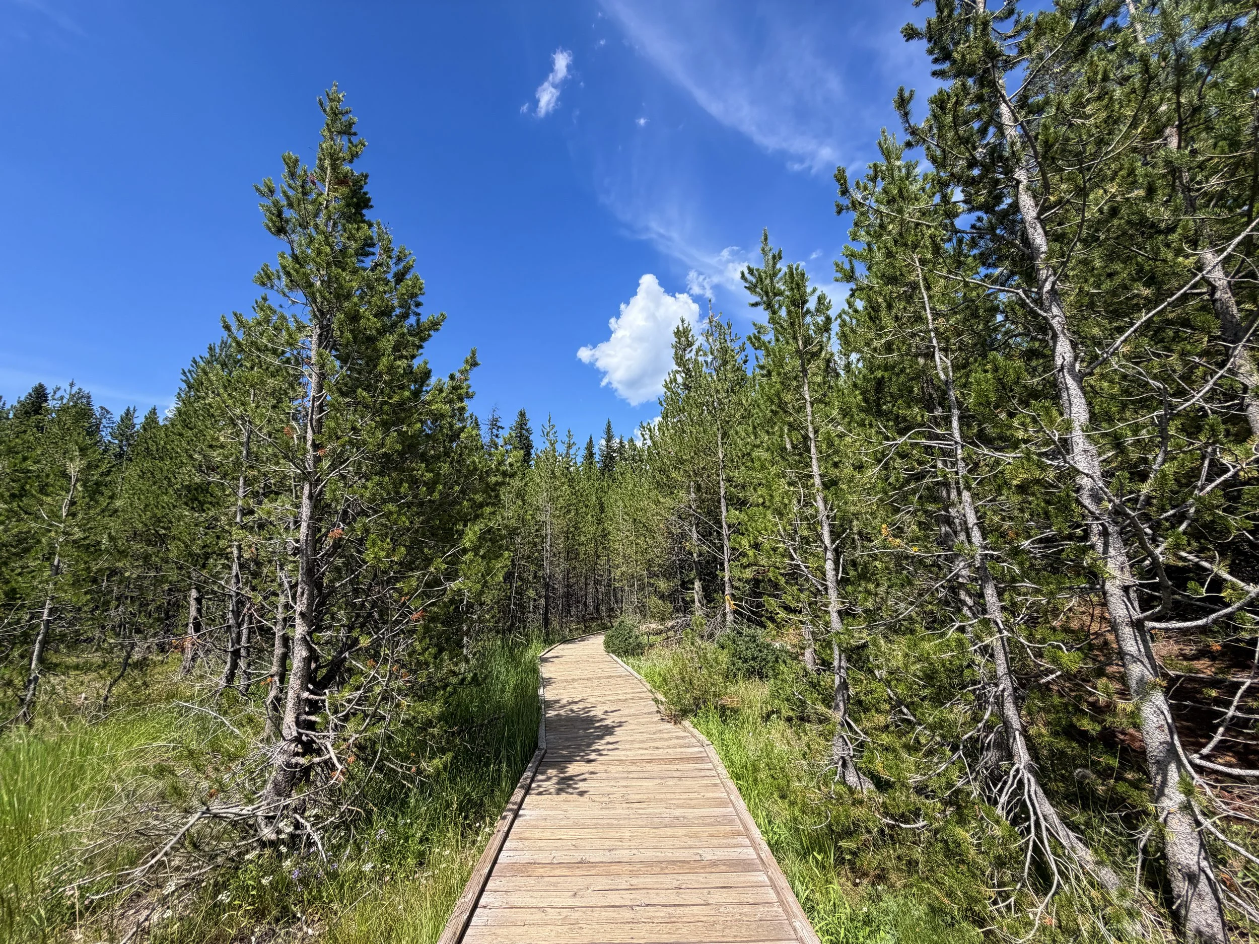 West Thumb Geyser Basin Trail Yellowstone National Park Wyoming