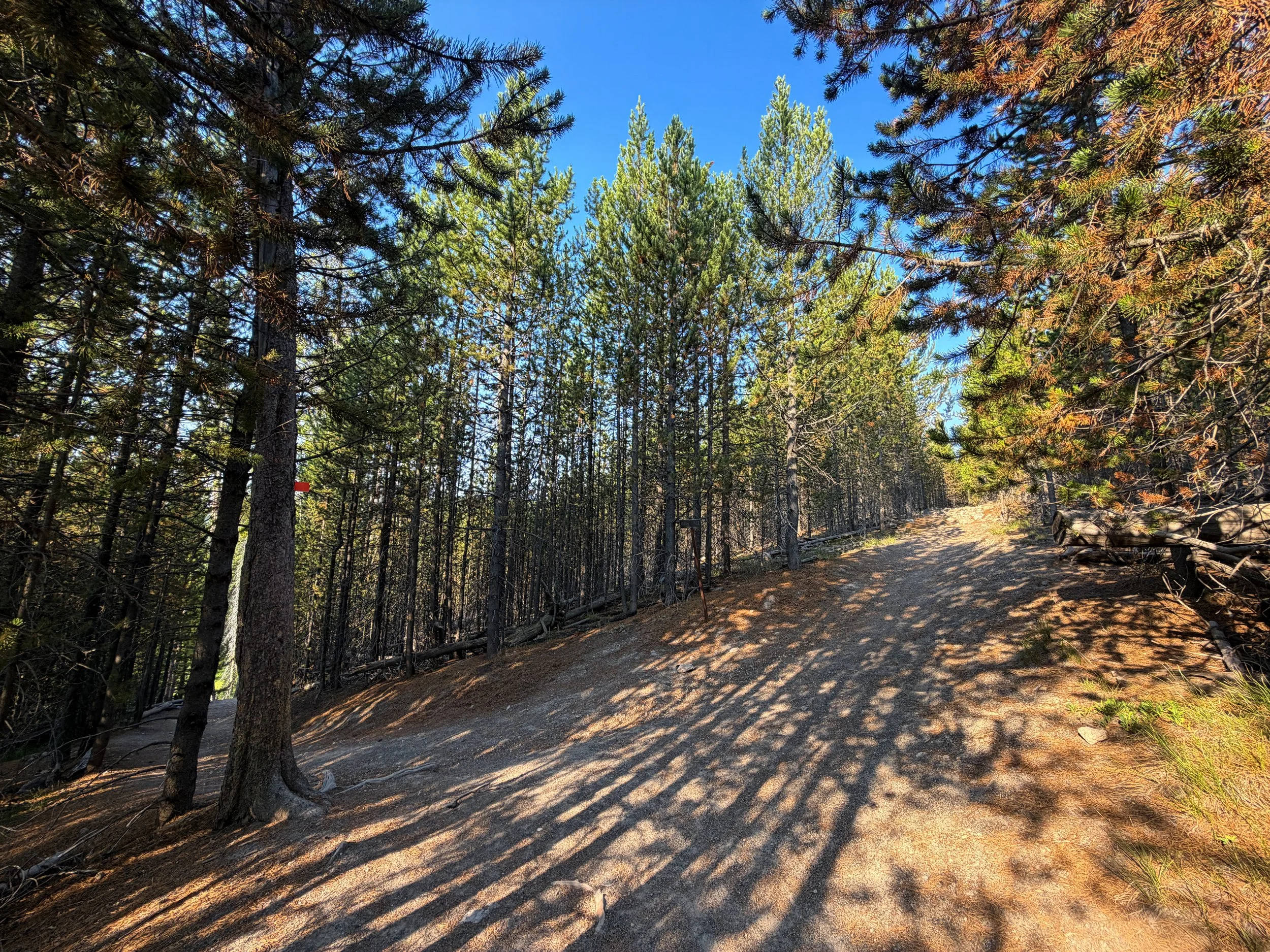 Mystic Falls Loop Trail Yellowstone National Park Wyoming