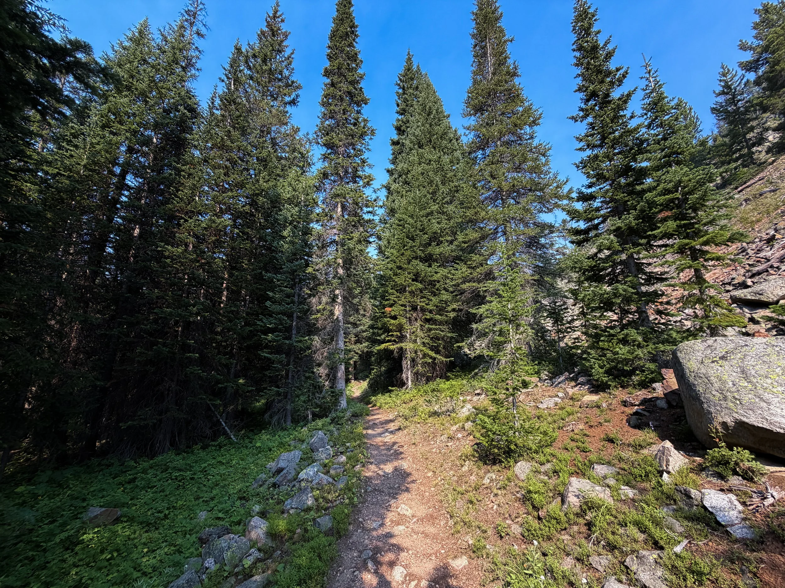 East Rosebud Trail The Beaten Path Beartooth Mountains Montana
