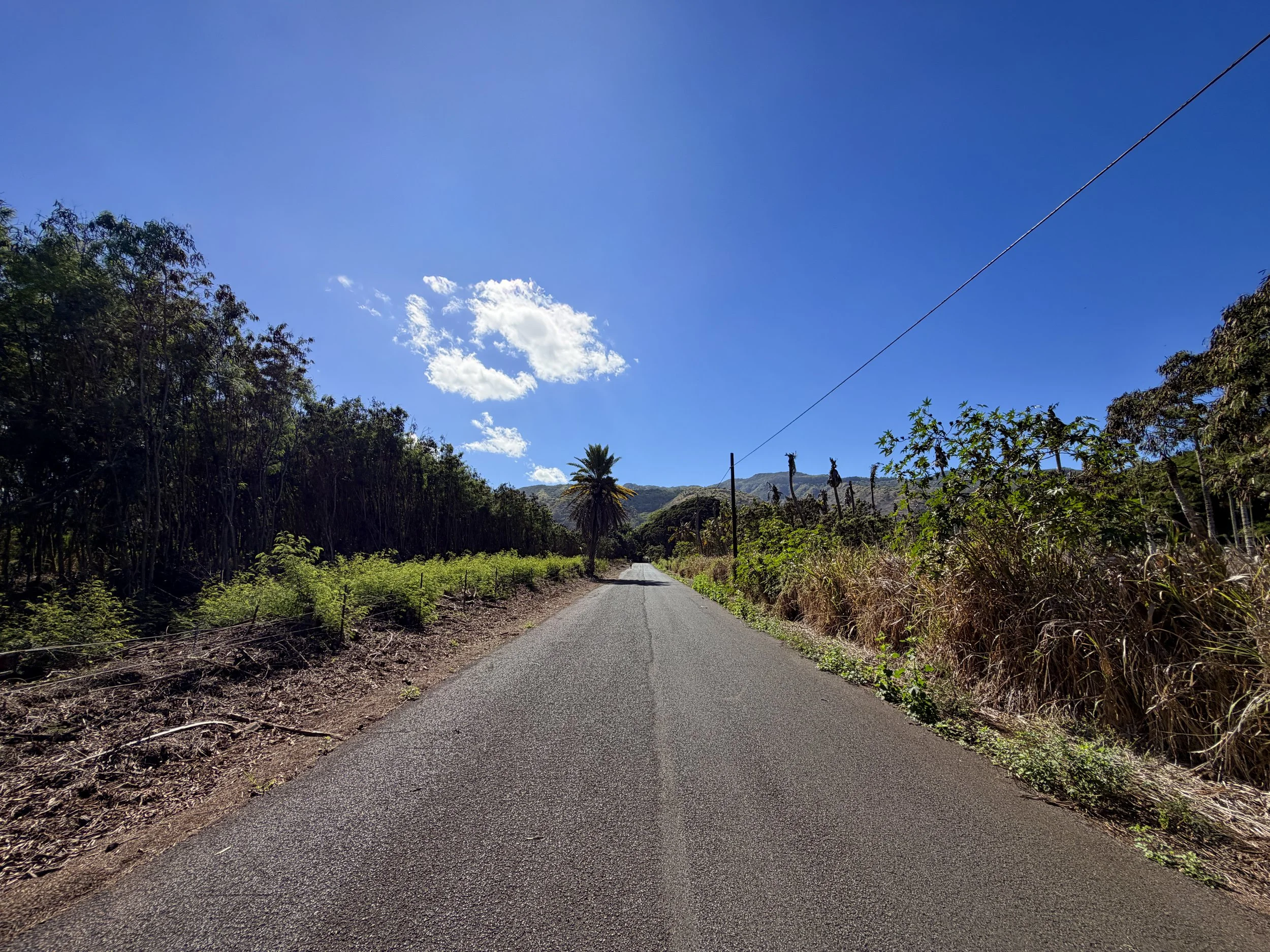 Mokuleia Forest Reserve Access Road Trail Oahu Hawaii