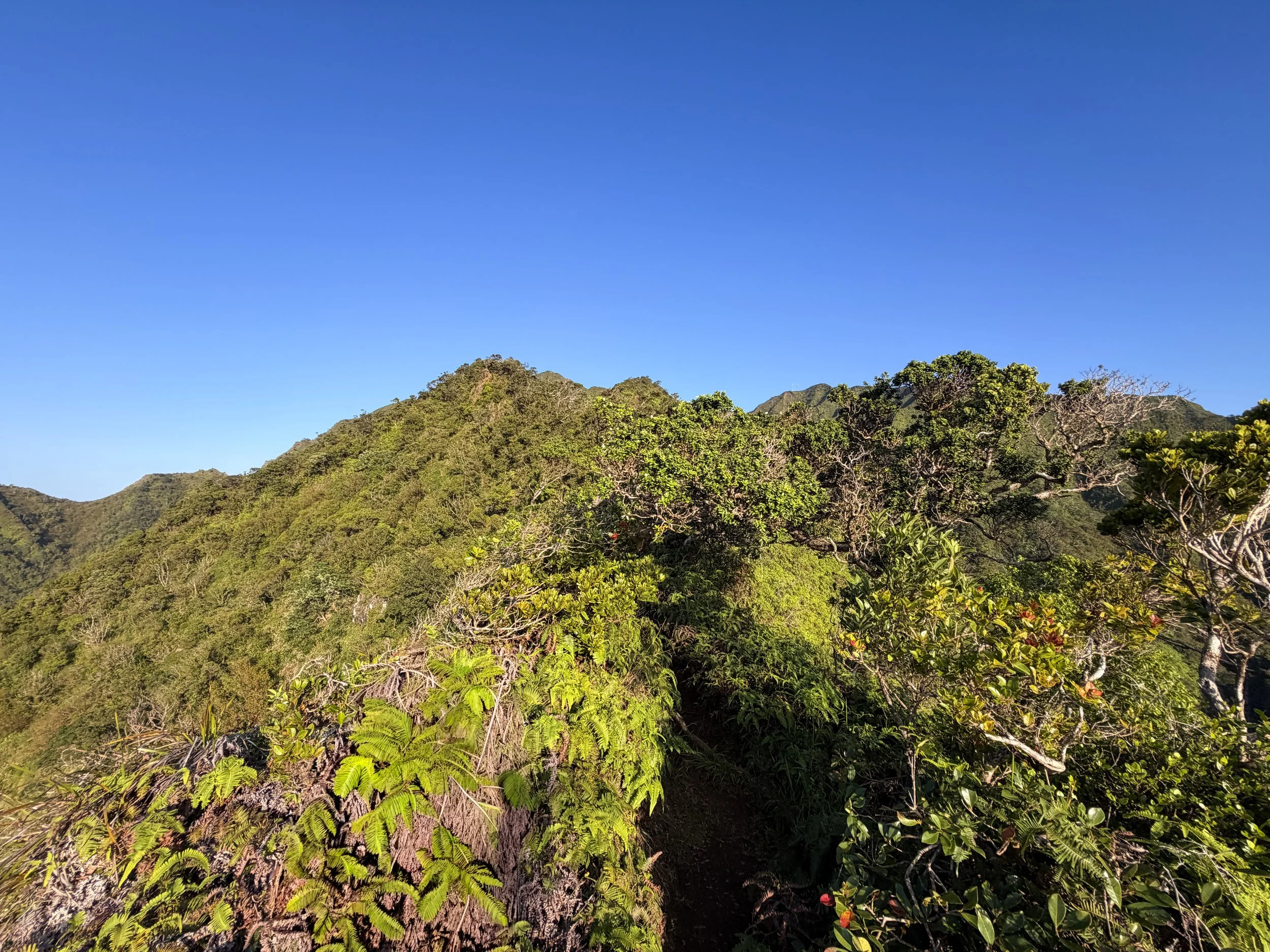 Moanalua Middle Ridge Hike Oahu Hawaii