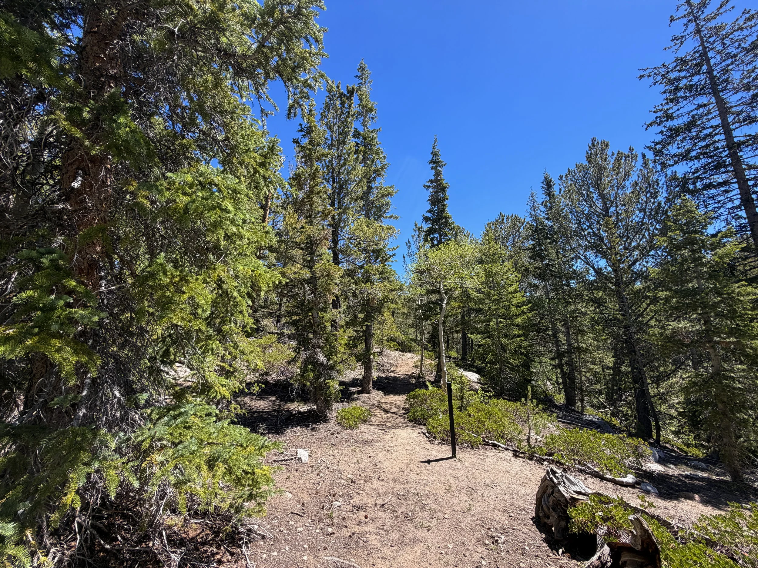 Dead Lake Trail Great Basin National Park Nevada