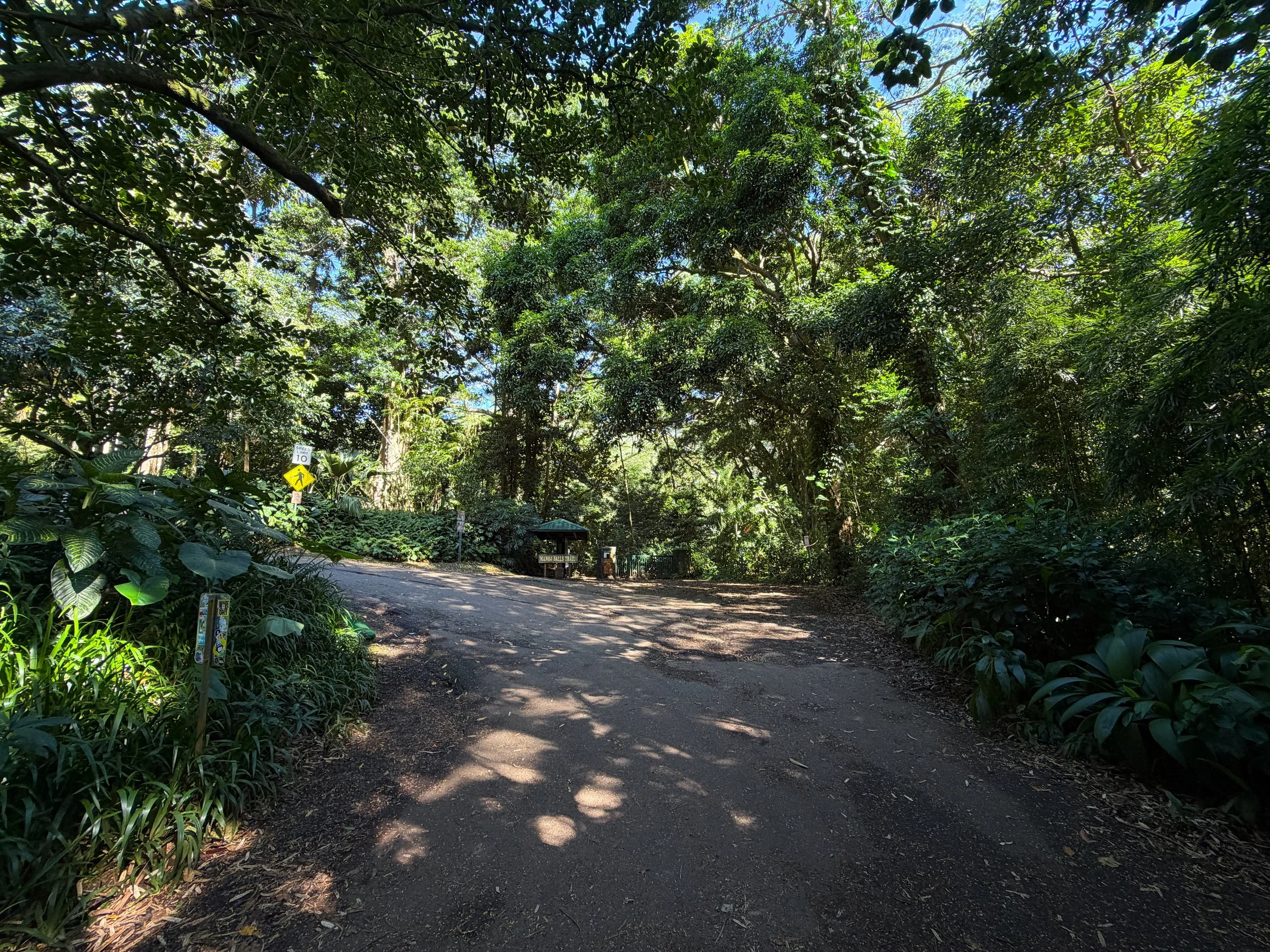 Manoa Falls Trailhead Oahu Hawaii