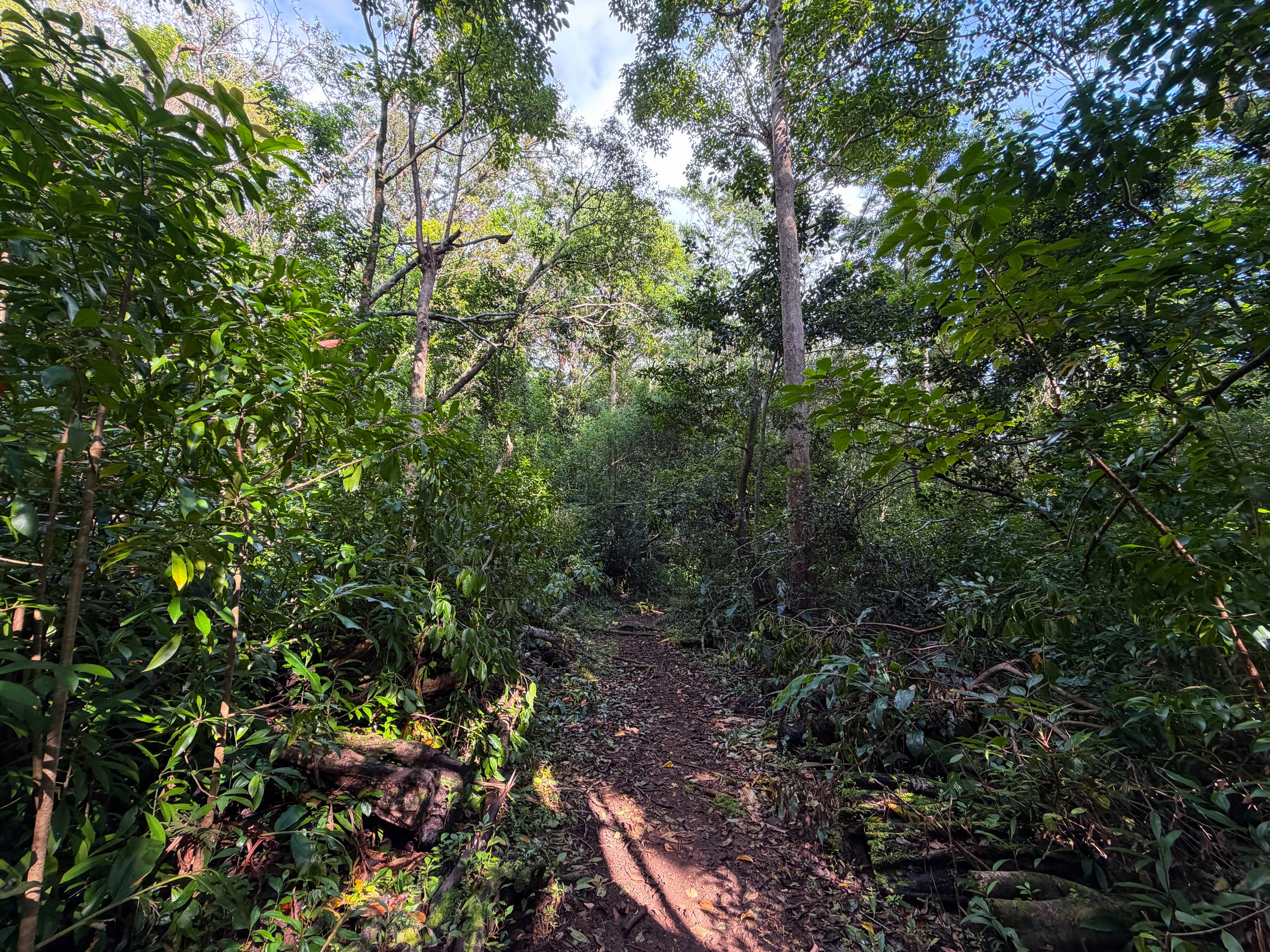Nuuanu Trail Oahu Hawaii