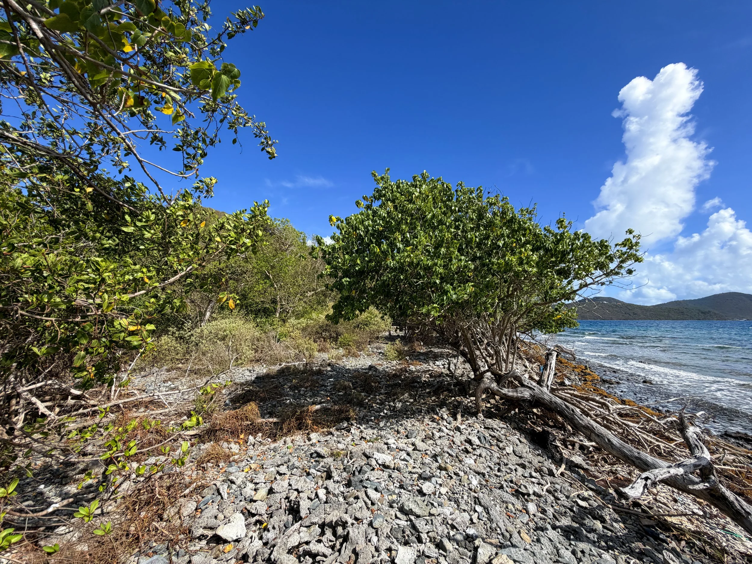 Brown Bay Beach Virgin Islands National Park