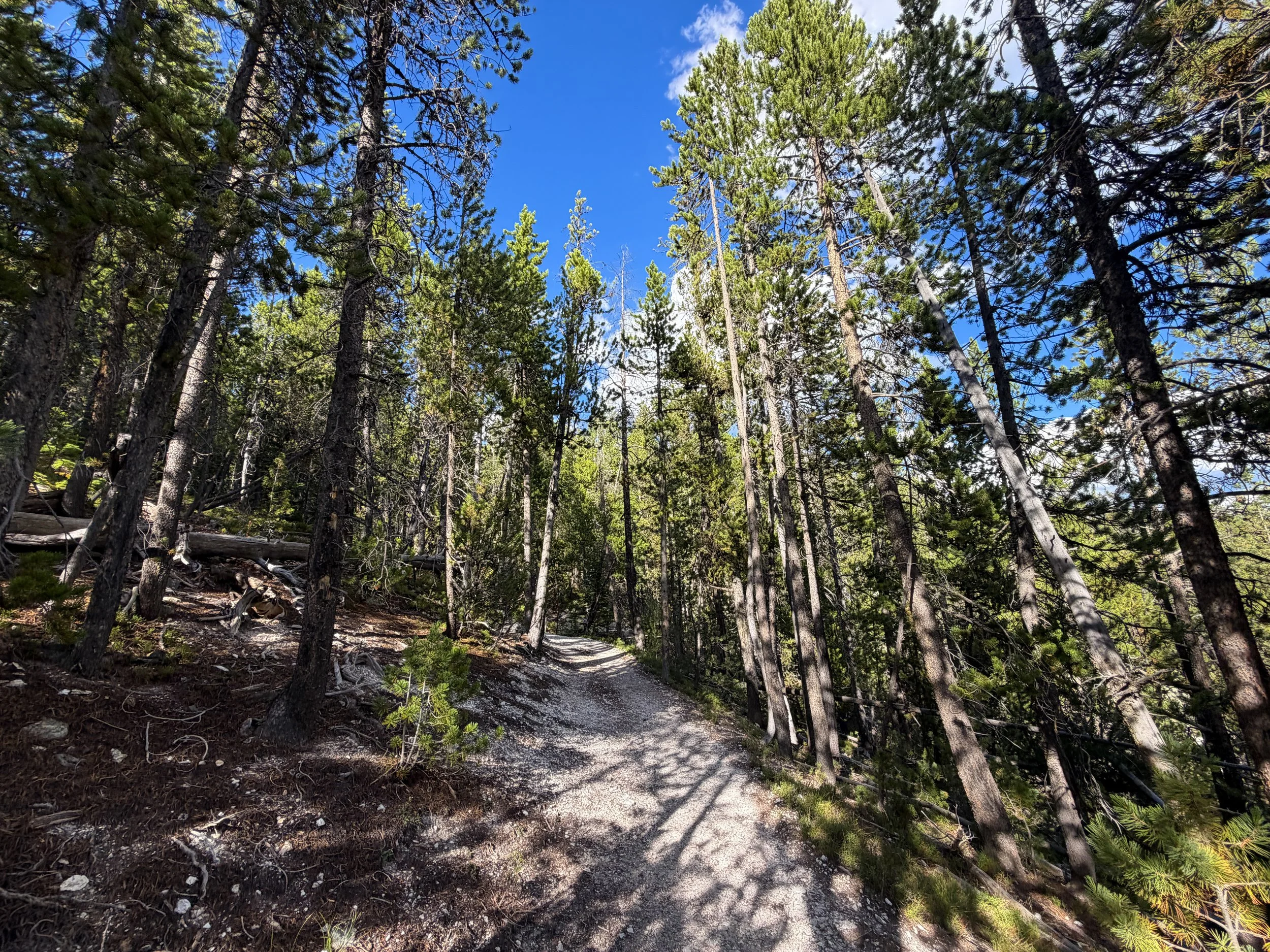 North Rim Trail Yellowstone National Park Wyoming