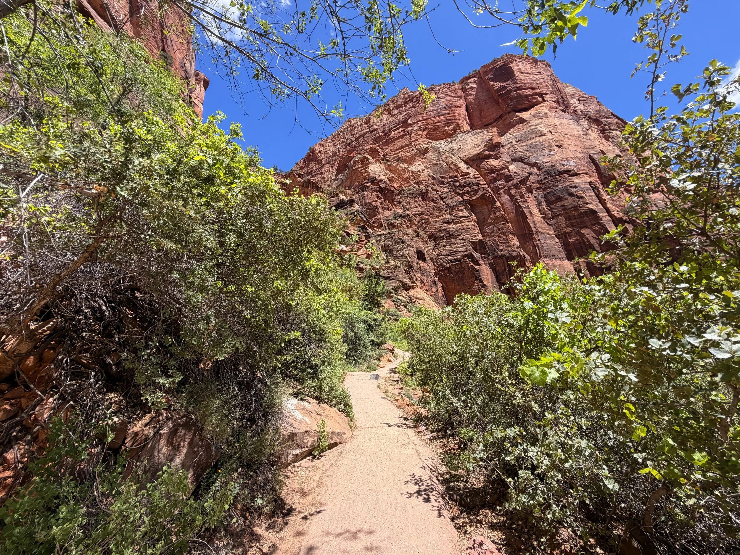 Angels Landing Trail Zion National Park Utah