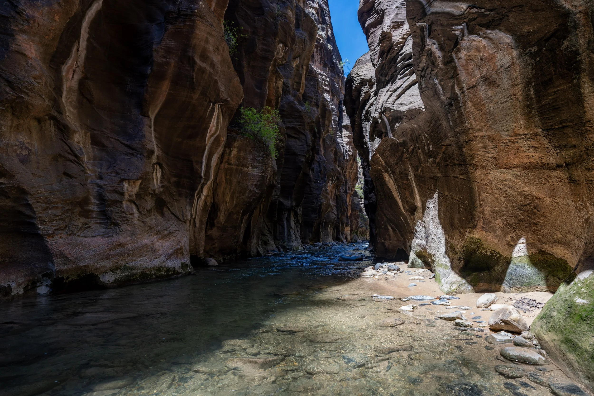 The Narrows Zion National Park Utah