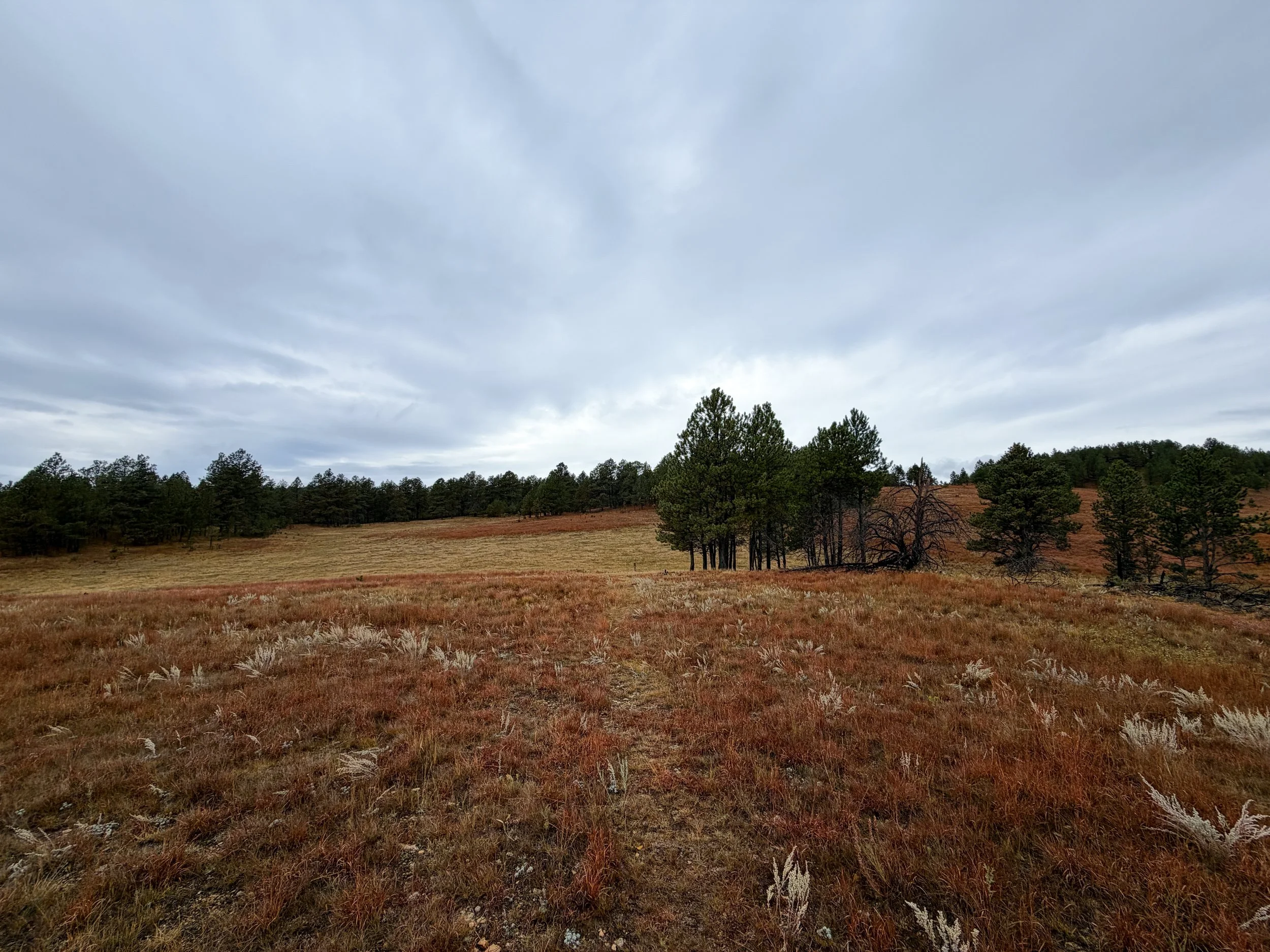 Highland Creek Trail to Wind Cave Canyon Wind Cave National Park South Dakota