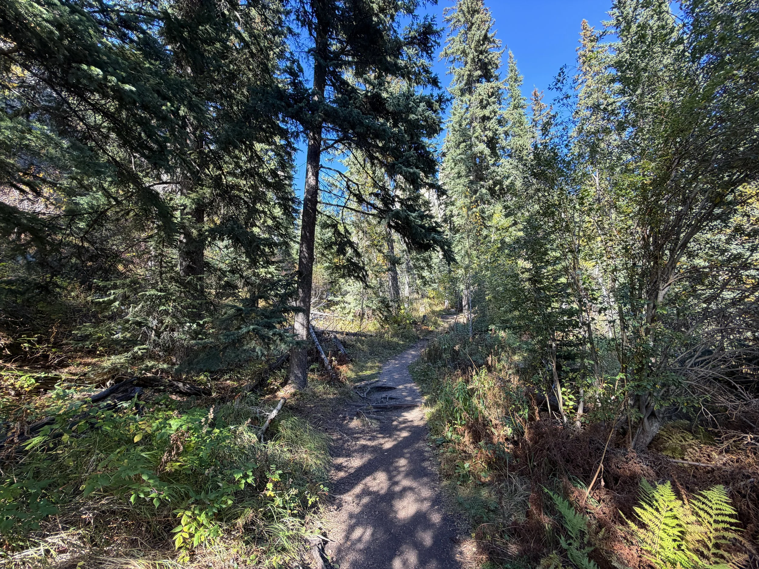Cathedral Spires Hike Custer State Park Black Hills South Dakota
