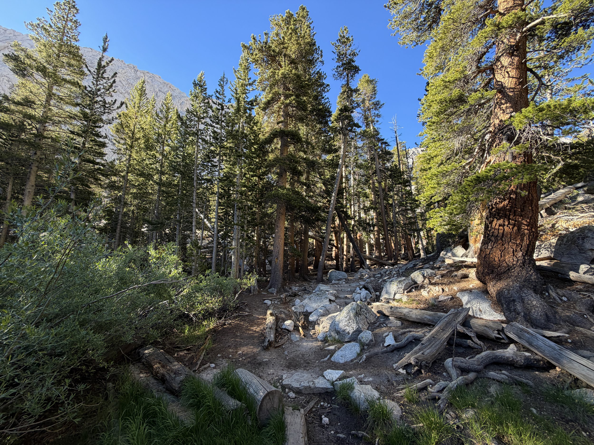 Mt. Whitney Trail via Whitney Portal California