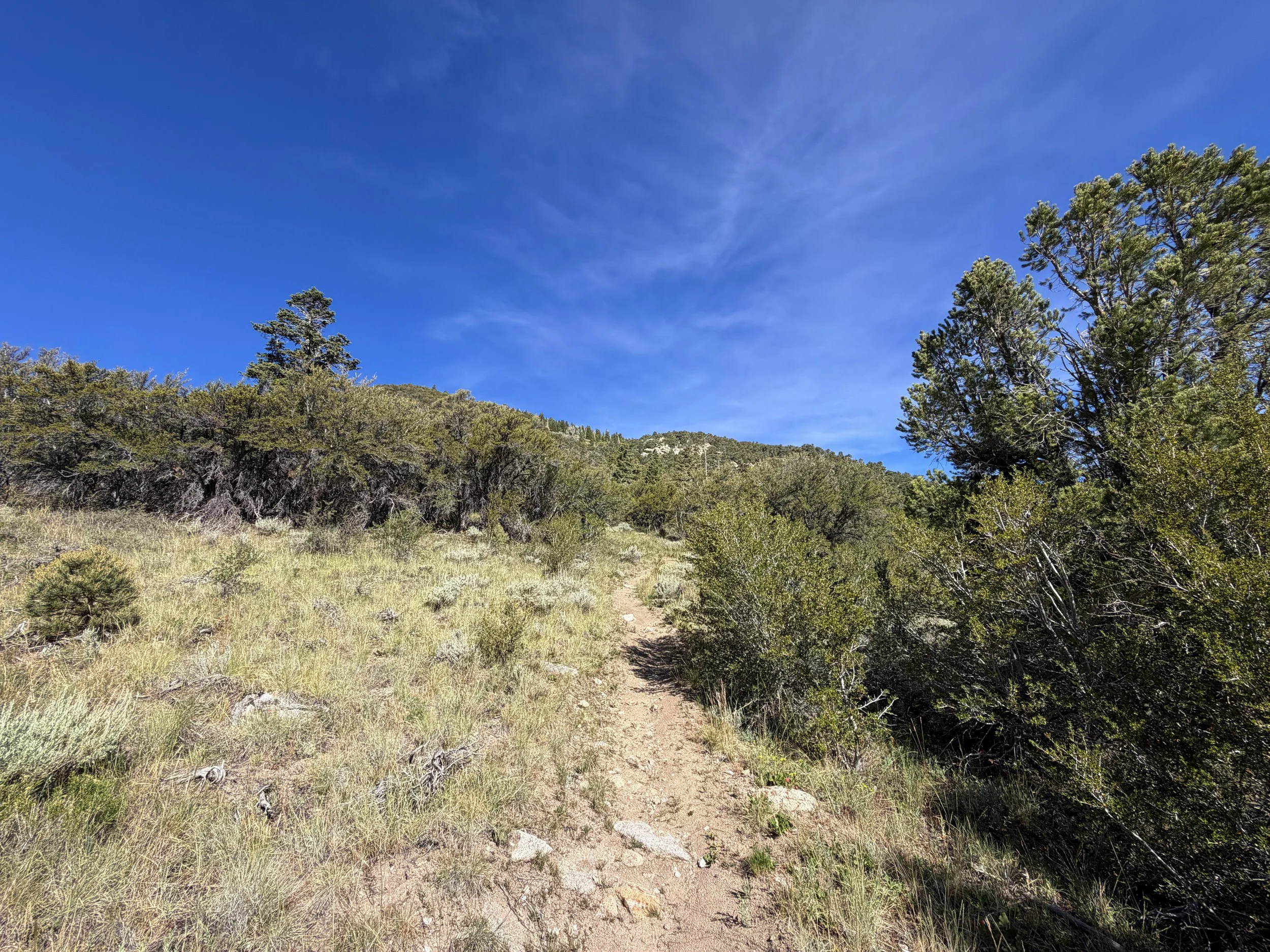 Pole Canyon Hike Great Basin National Park Nevada