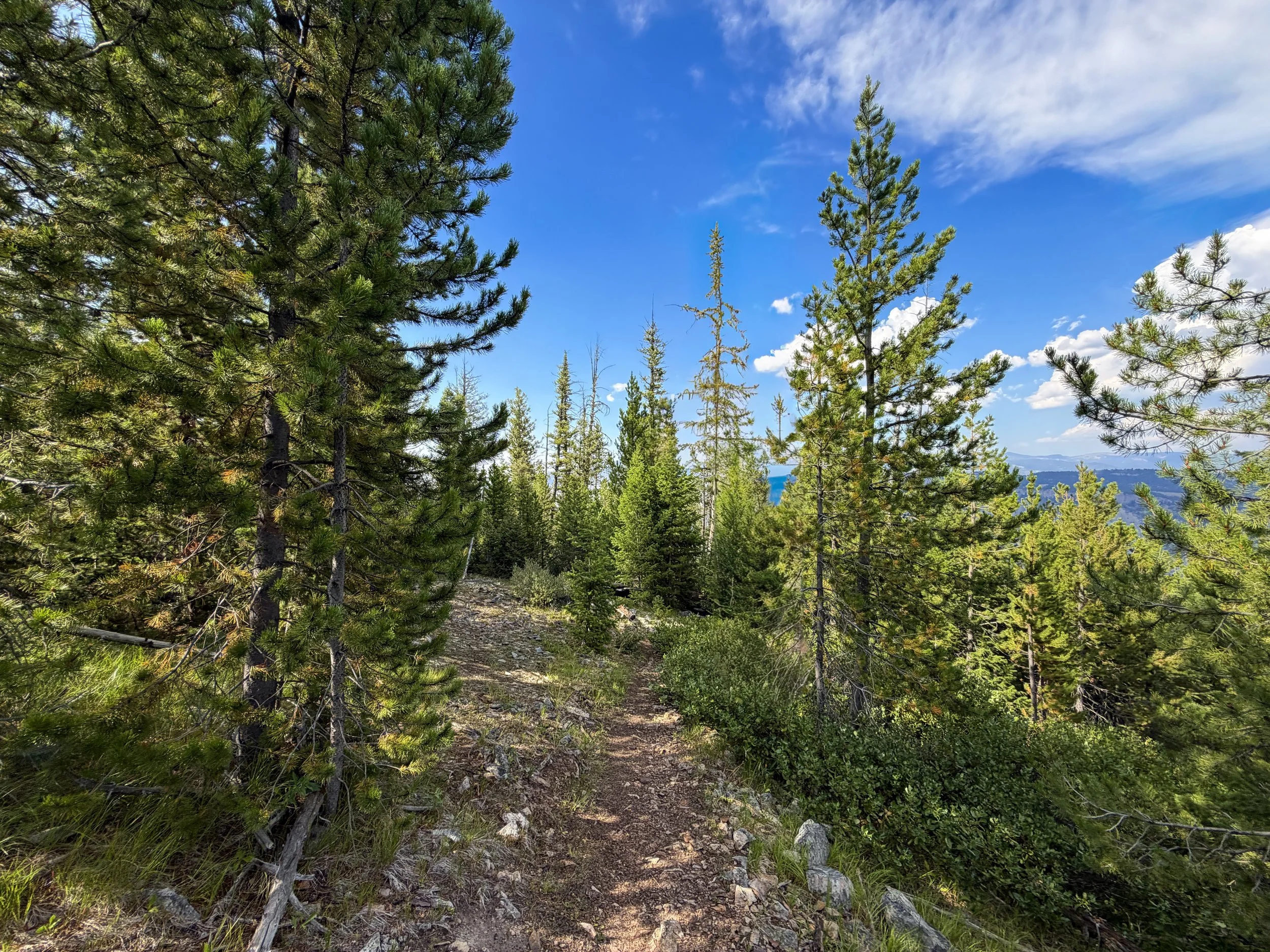 Bunsen Peak Trail Yellowstone National Park Wyoming