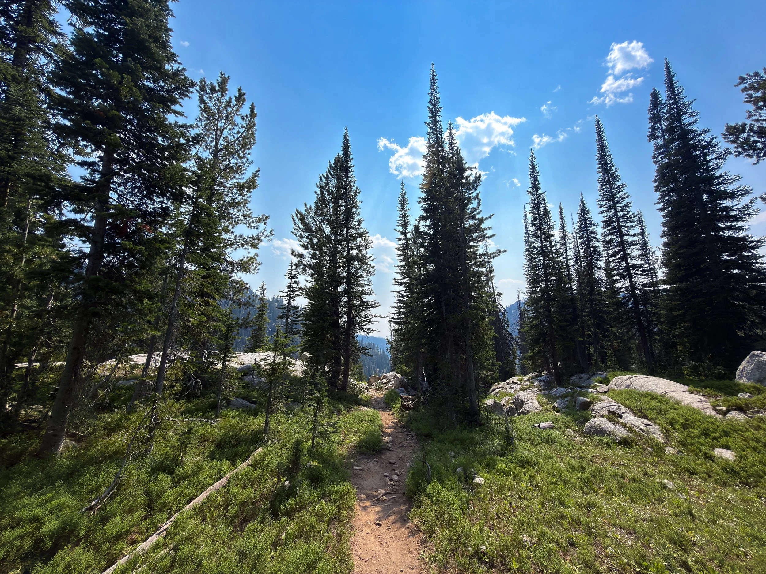 Russell Creek Trail The Beaten Path Beartooth Mountains Montana