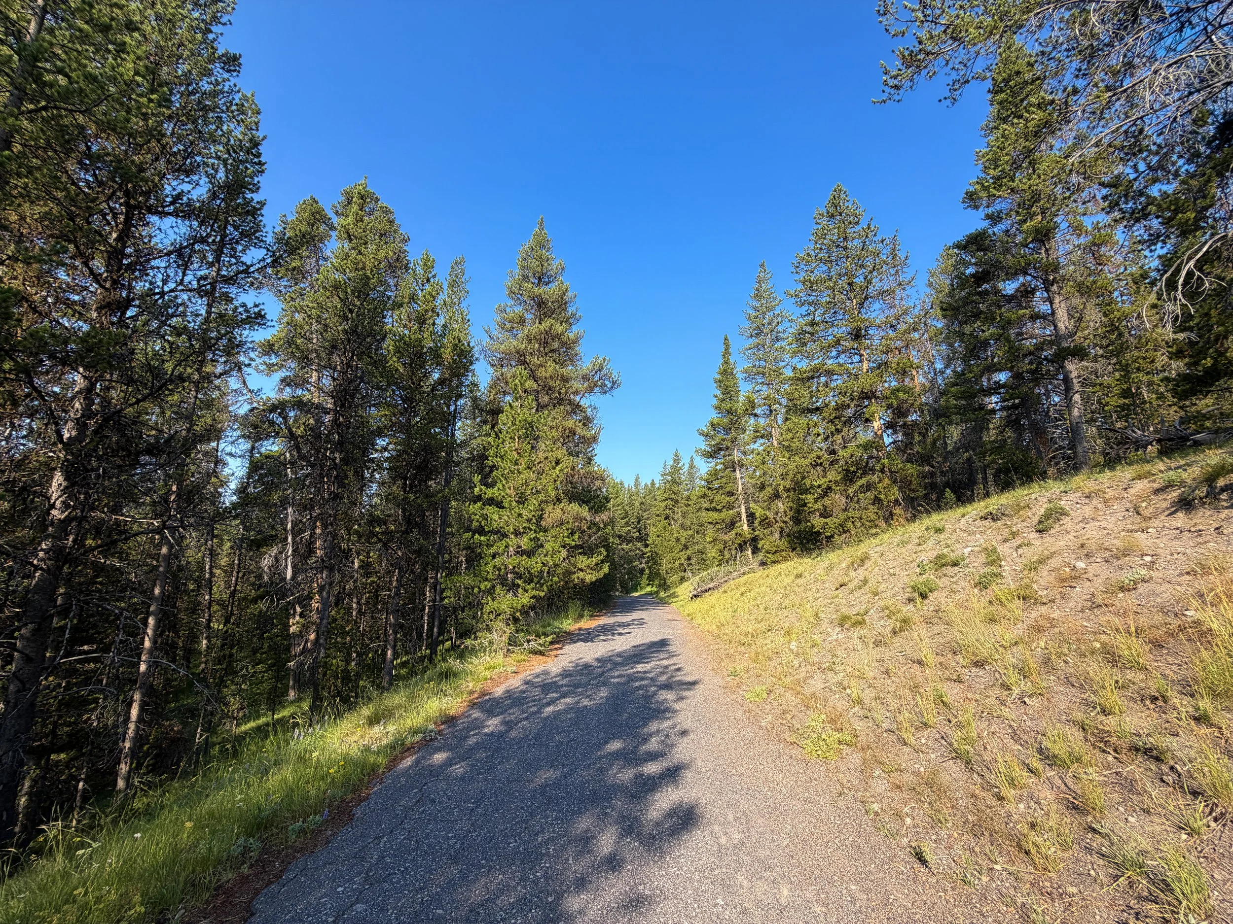 Natural Bridge Hike Yellowstone National Park Wyoming