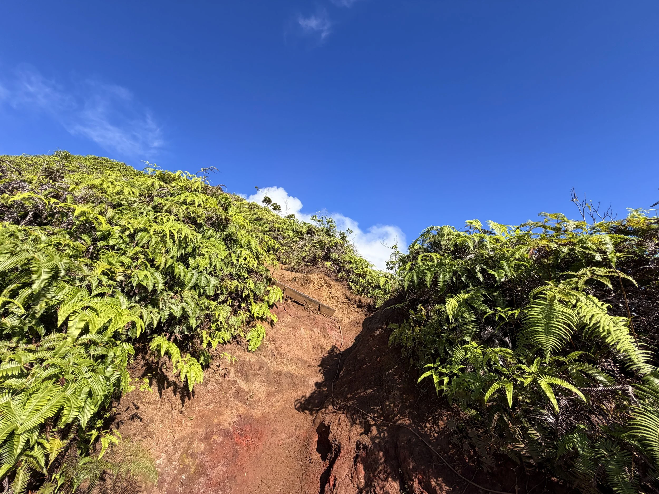 Wiliwilinui Ridge Trail Stairs Oahu Hawaii