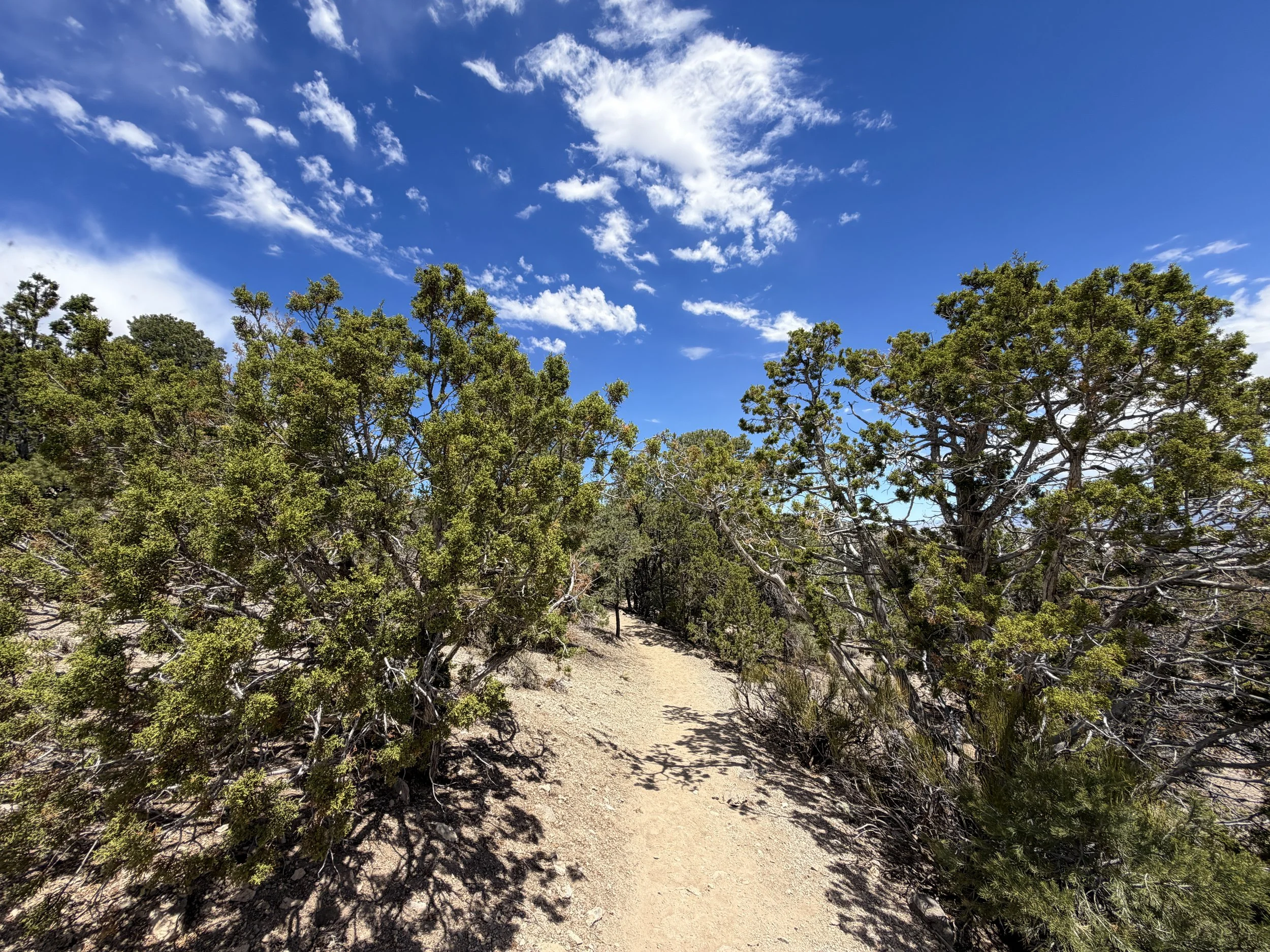 Mountain View Nature Trail Great Basin National Park Nevada
