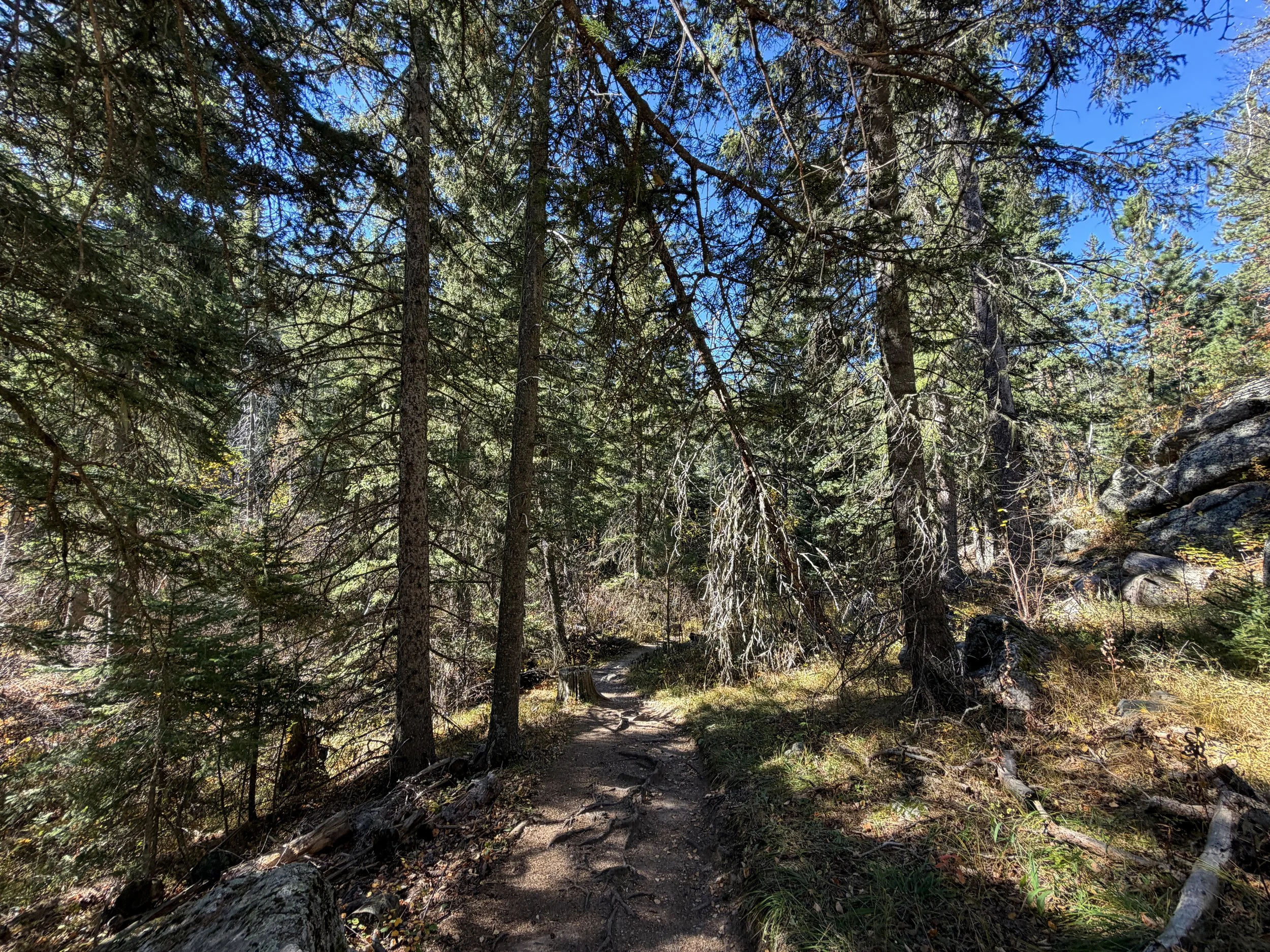 Sunday Gulch Loop Trail Custer State Park Black Hills South Dakota