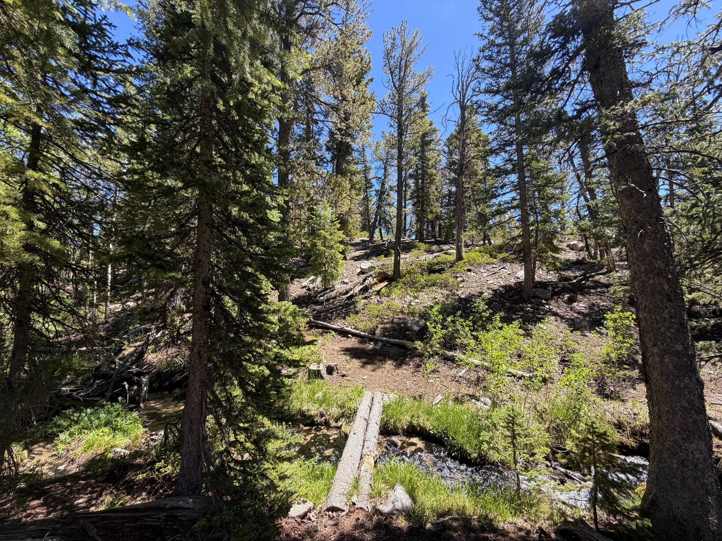 Dead Lake Trail Great Basin National Park Nevada