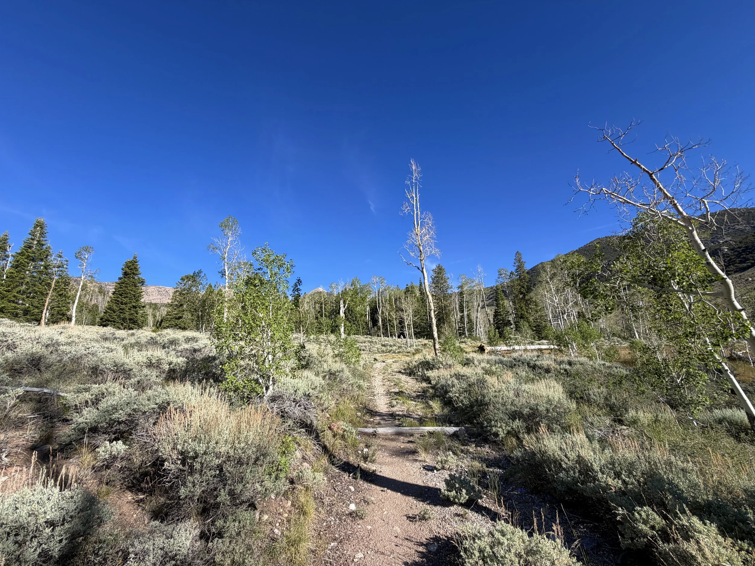 Johnson Lake Trail Great Basin National Park Nevada