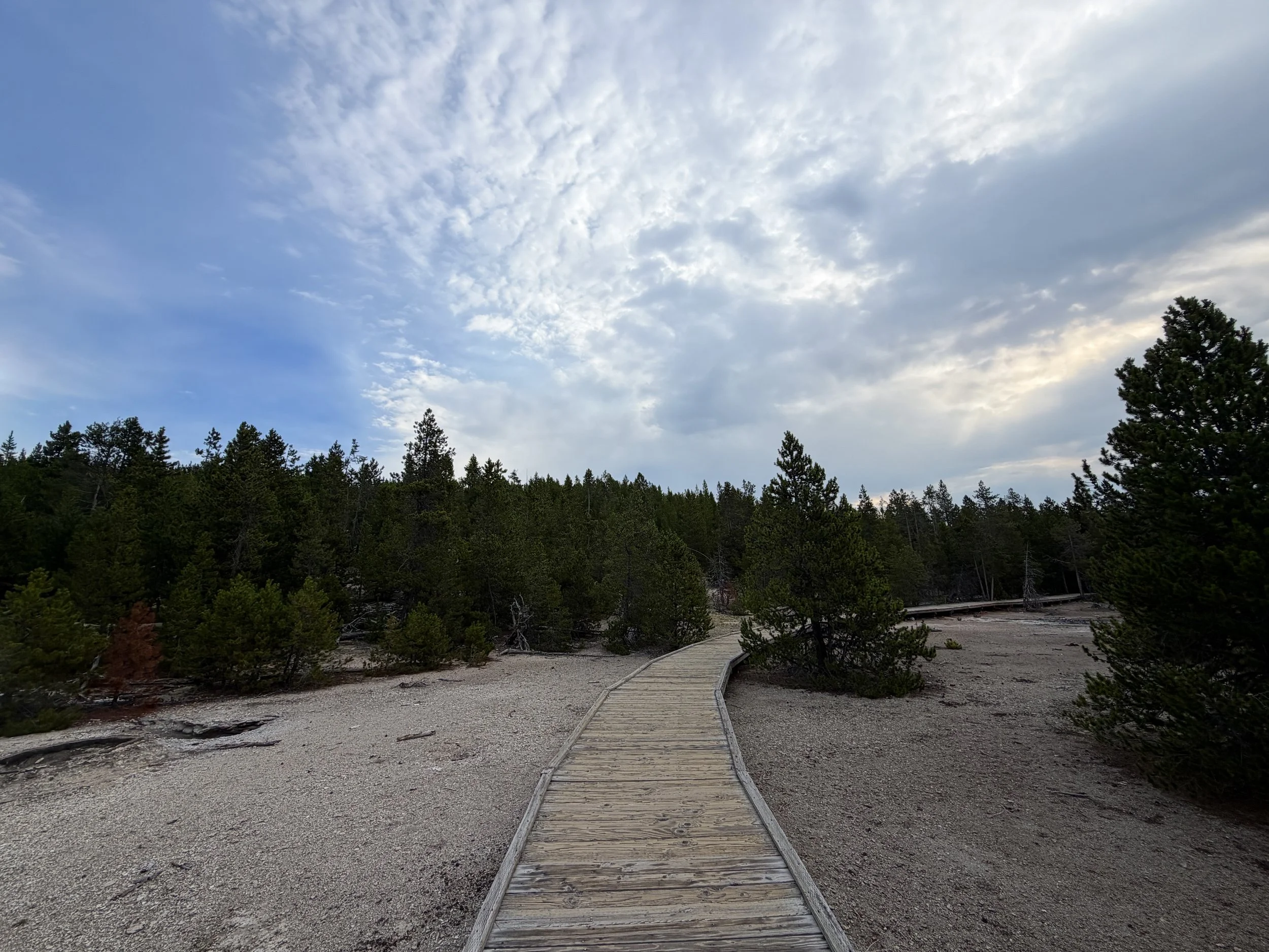 Porcelain Basin Boardwalk Trail Yellowstone National Park Wyoming