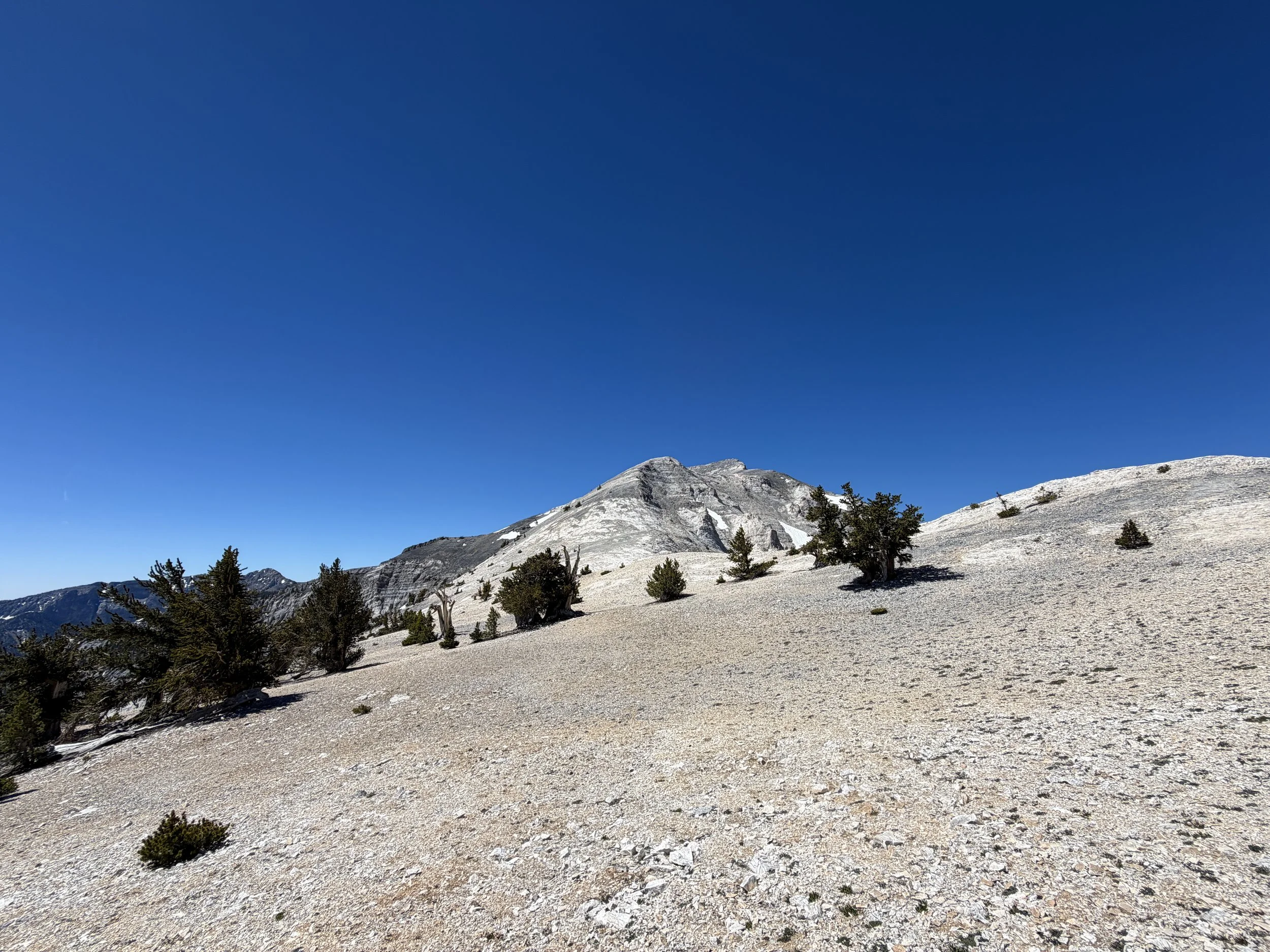 Snake Divide Trail to Mount Washington Great Basin National Park Nevada