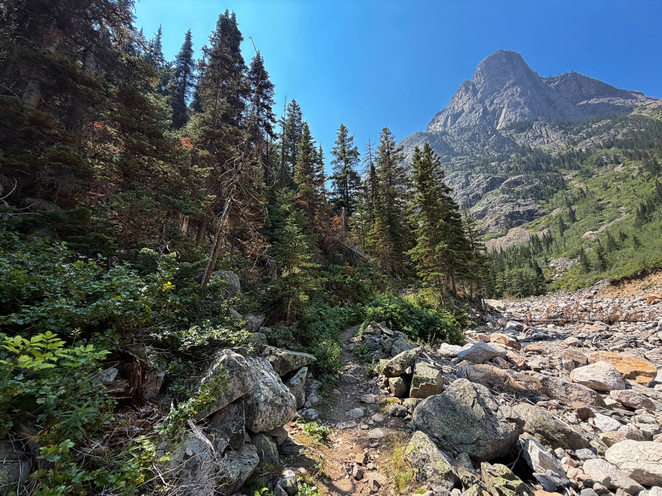East Rosebud Trail Beaten Path Beartooth Mountains Montana