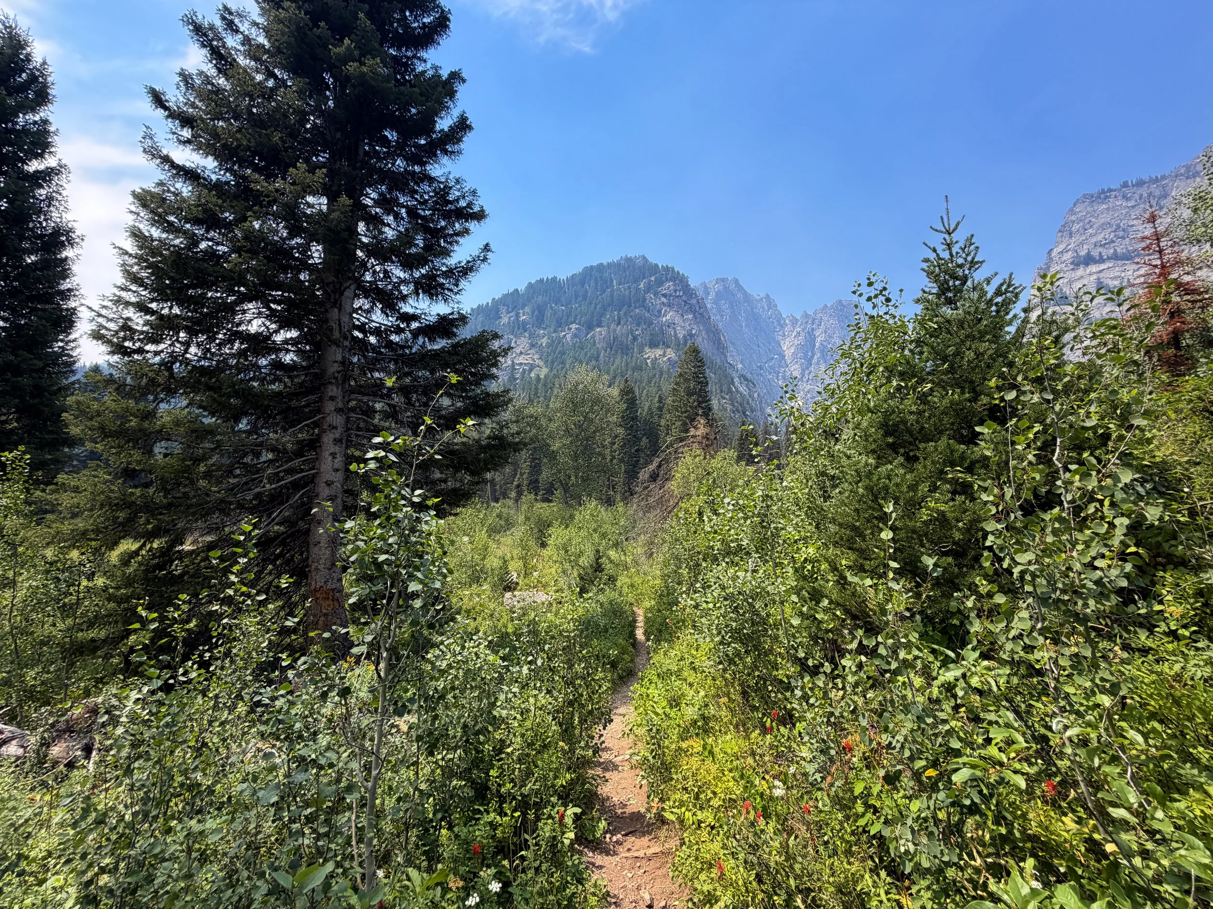 Phelps Lake Loop Trail Grand Teton National Park Wyoming