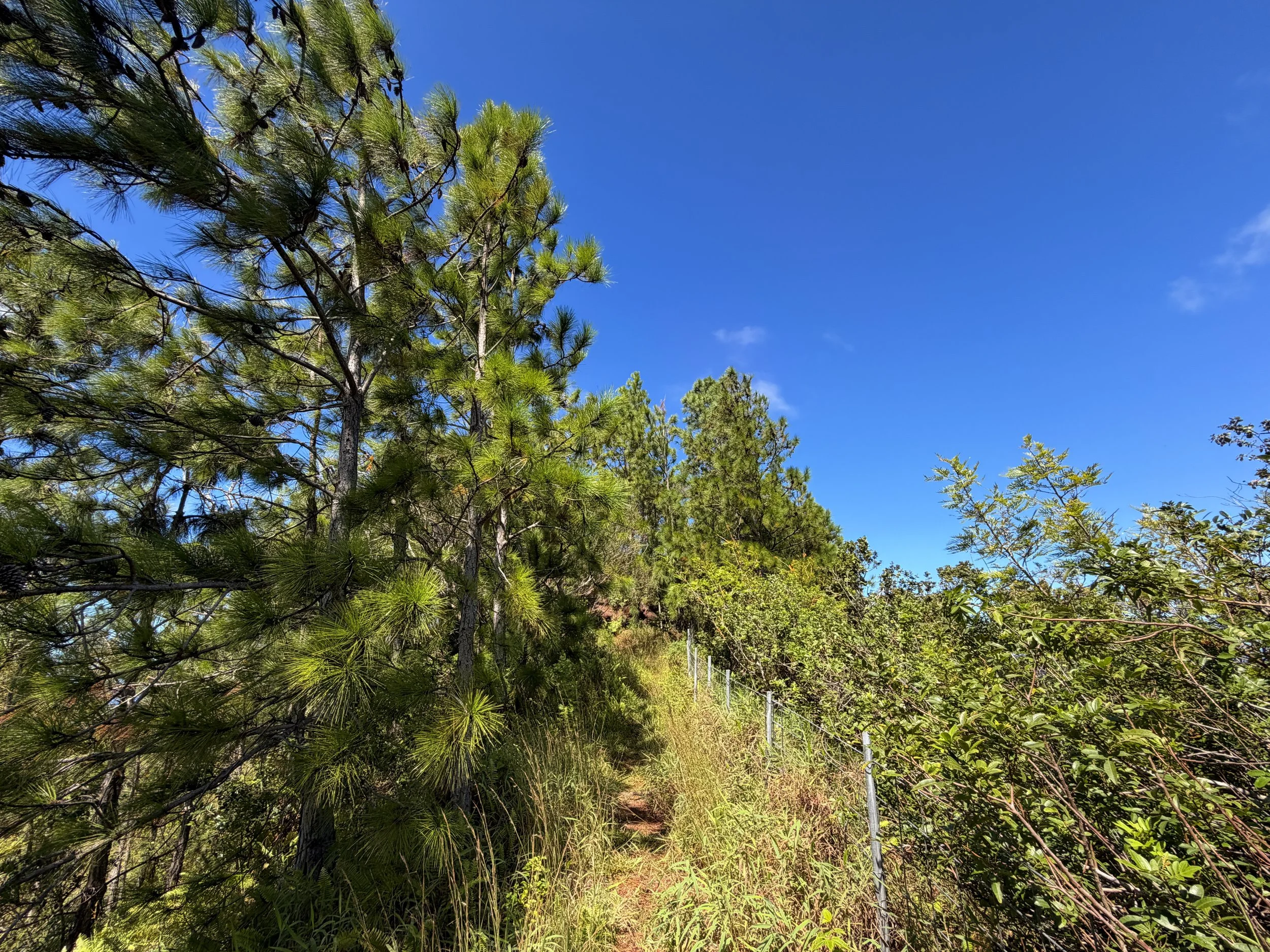 Kuaokala Hike Oahu Hawaii