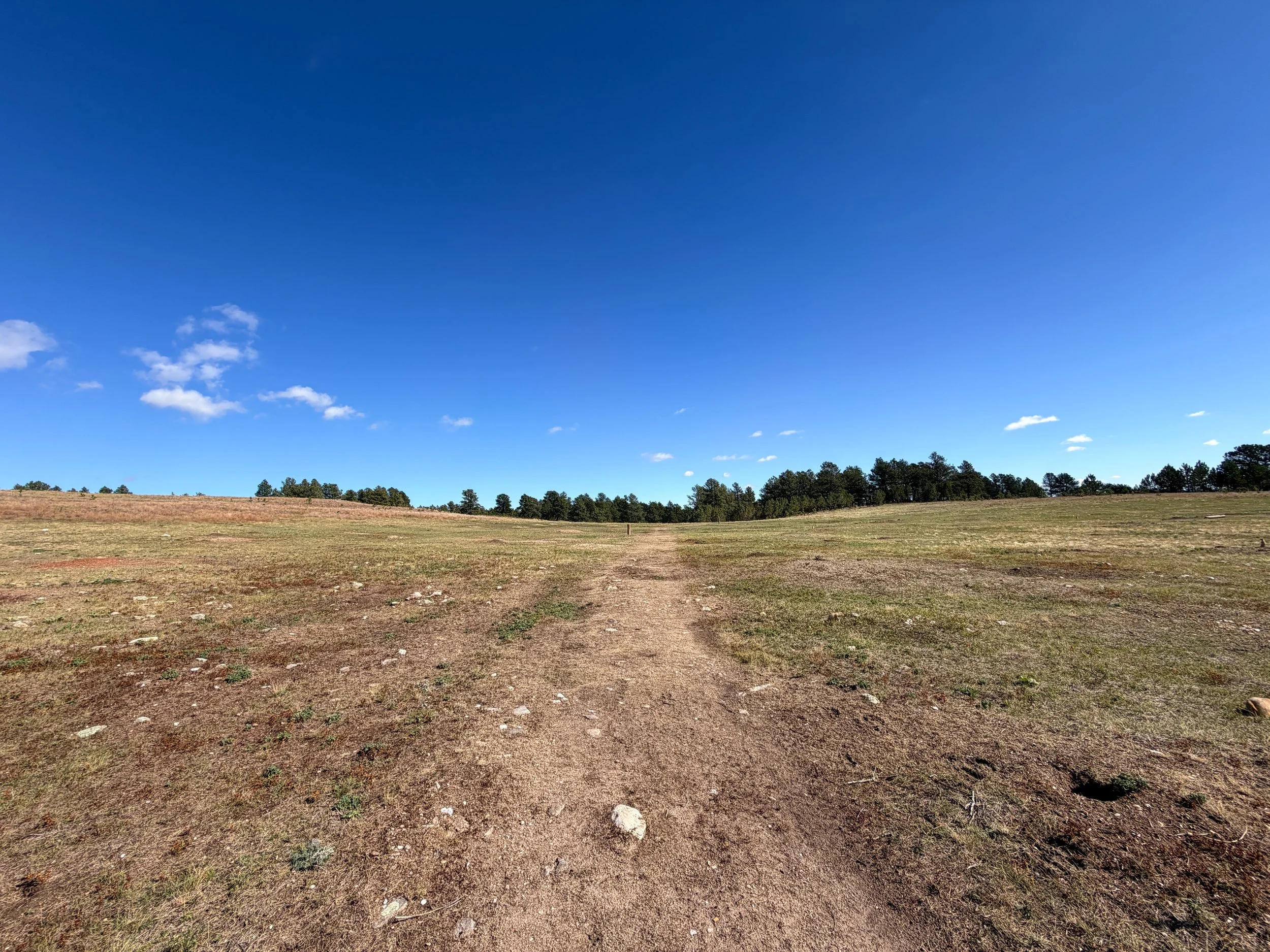 Lookout Point Loop Hike Wind Cave National Park South Dakota
