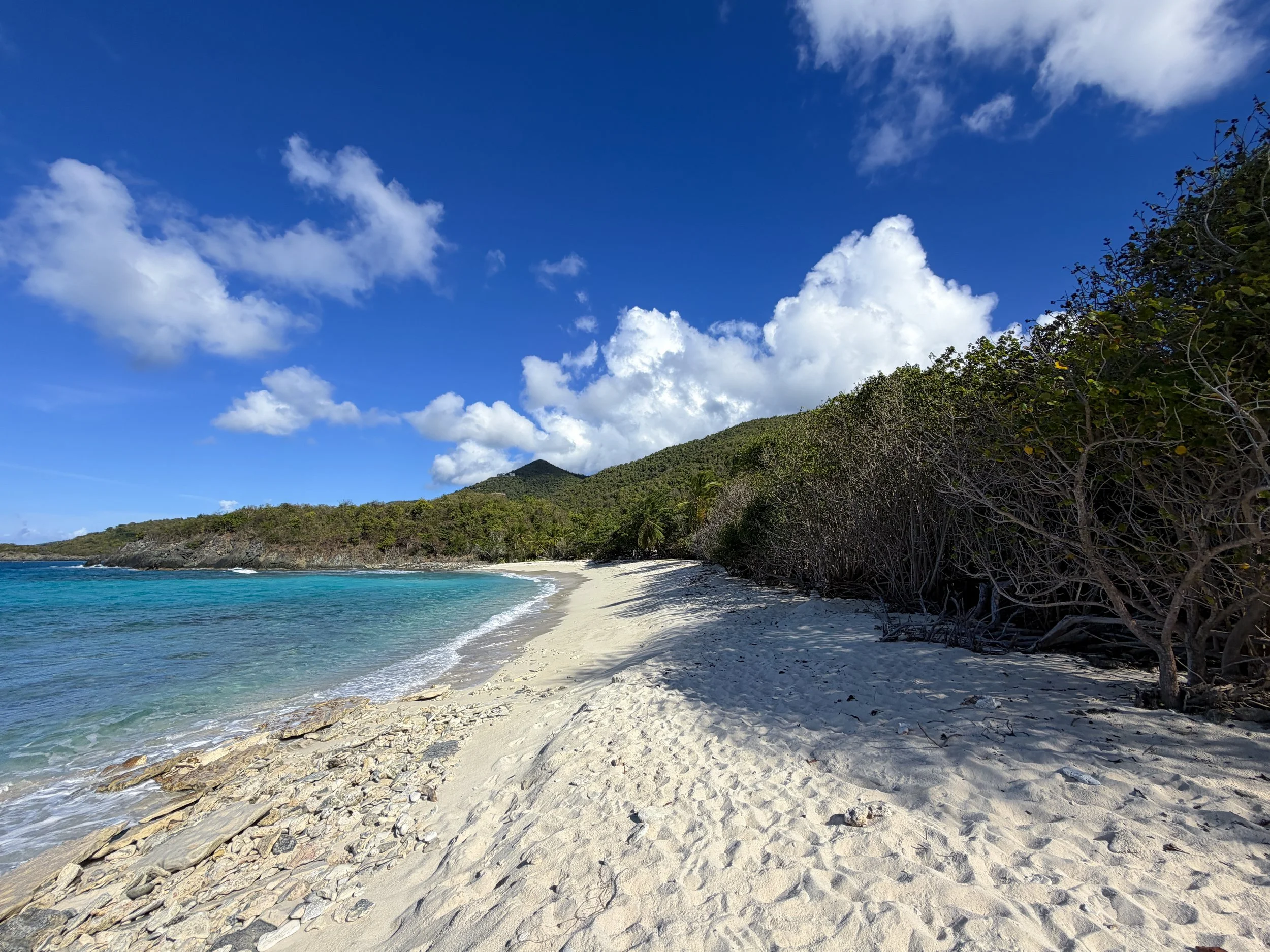 Oppenheimer Beach Virgin Islands National Park