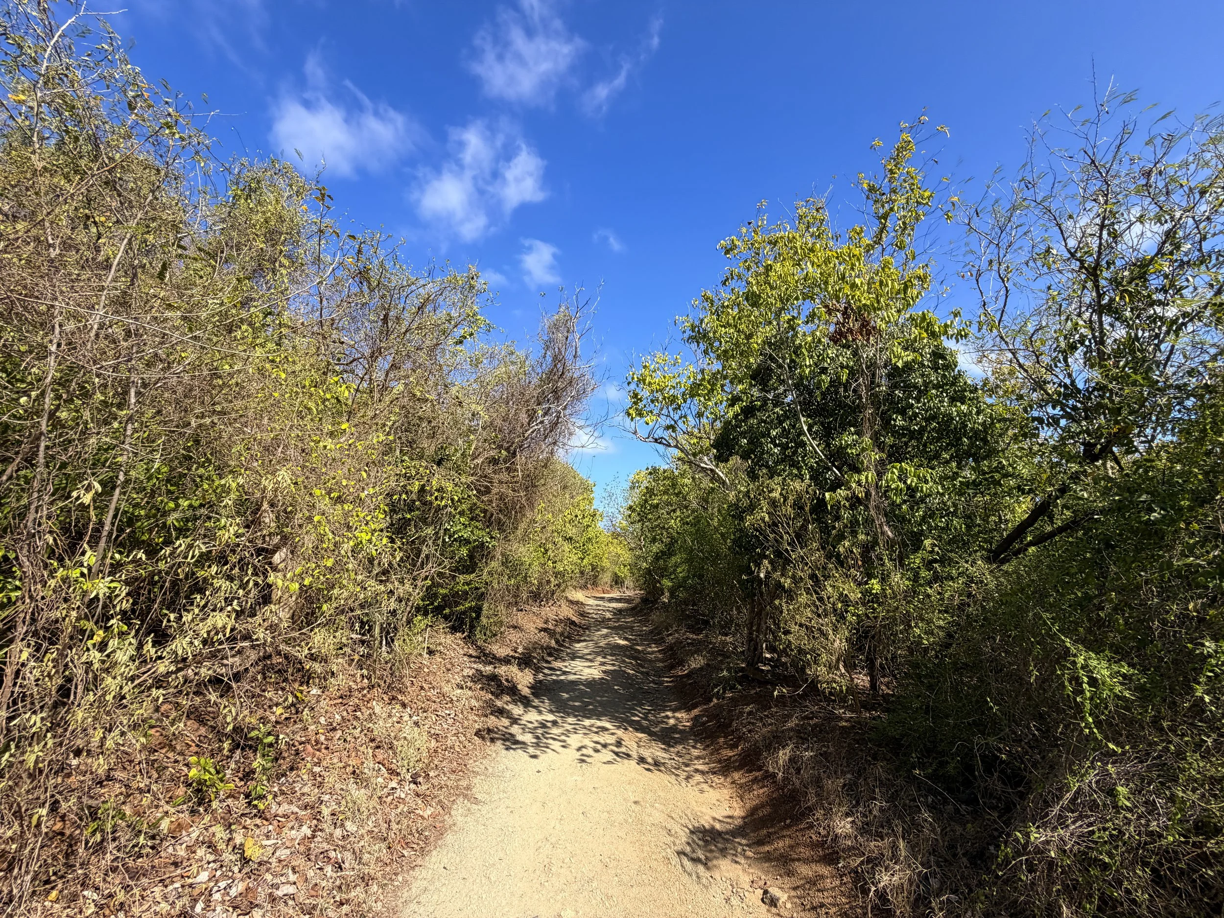 Drunk Bay Trail Virgin Islands National Park