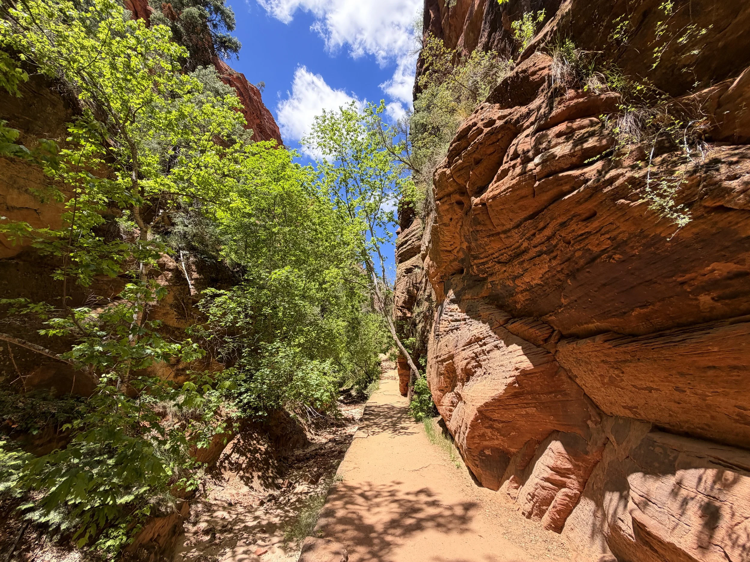 Angels Landing Hike Zion National Park Utah