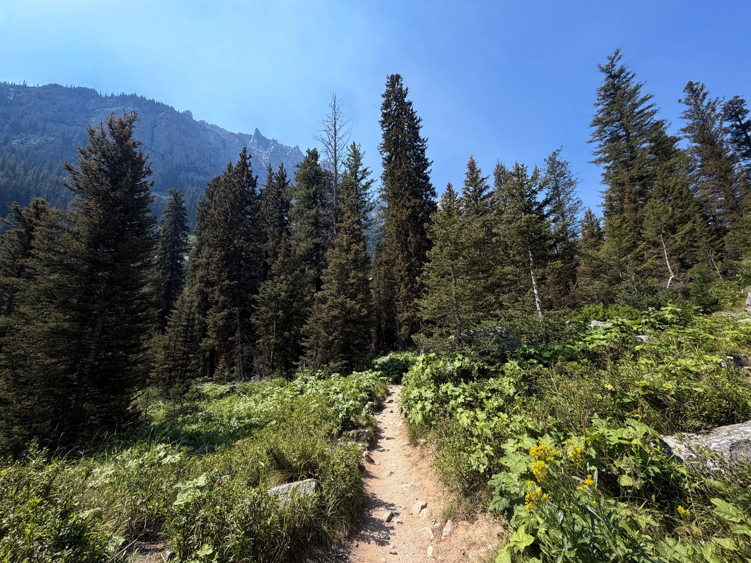 Cascade Canyon Hike Grand Teton National Park Wyoming