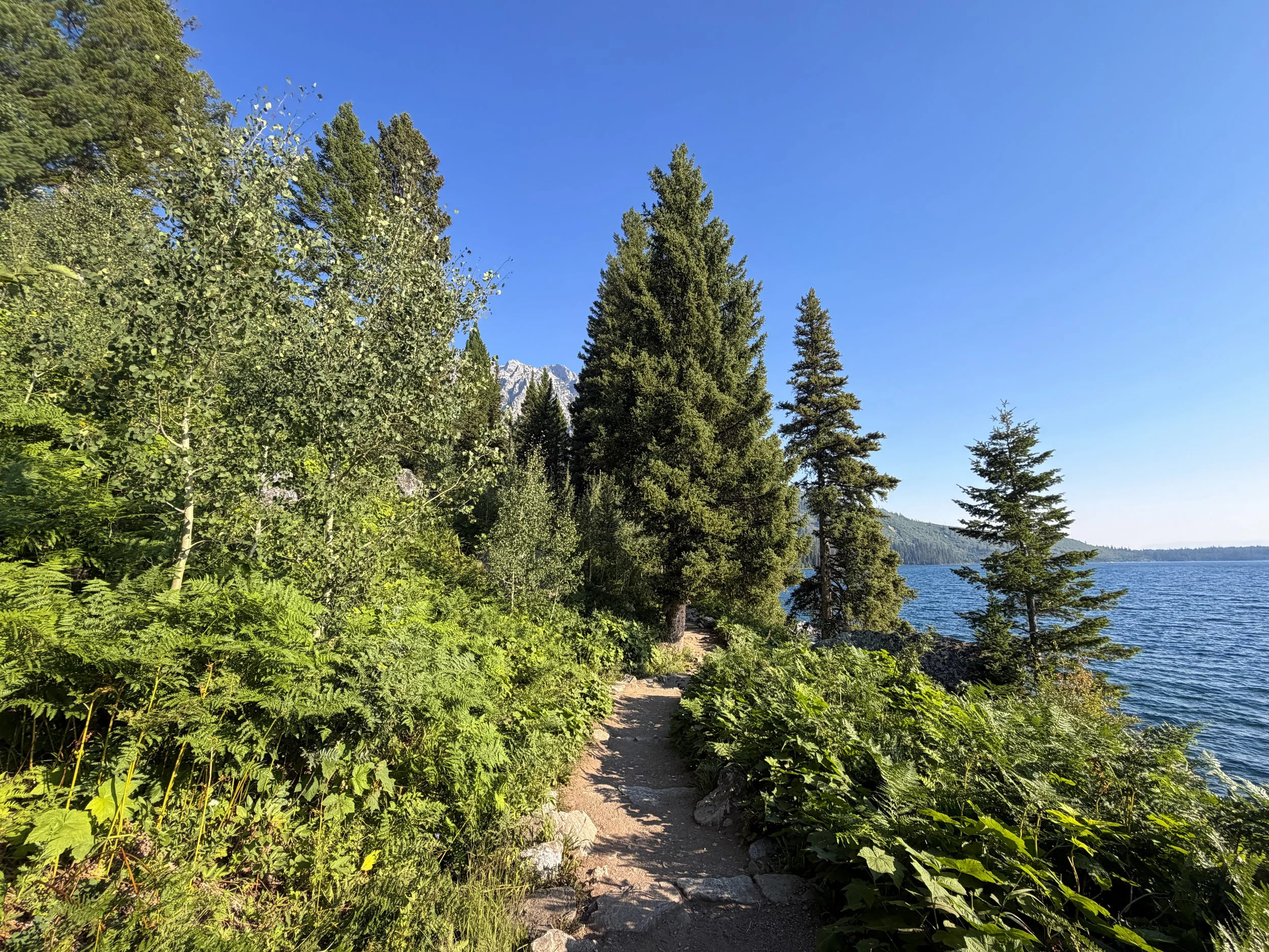 Hidden Falls Trail Grand Teton National Park Wyoming
