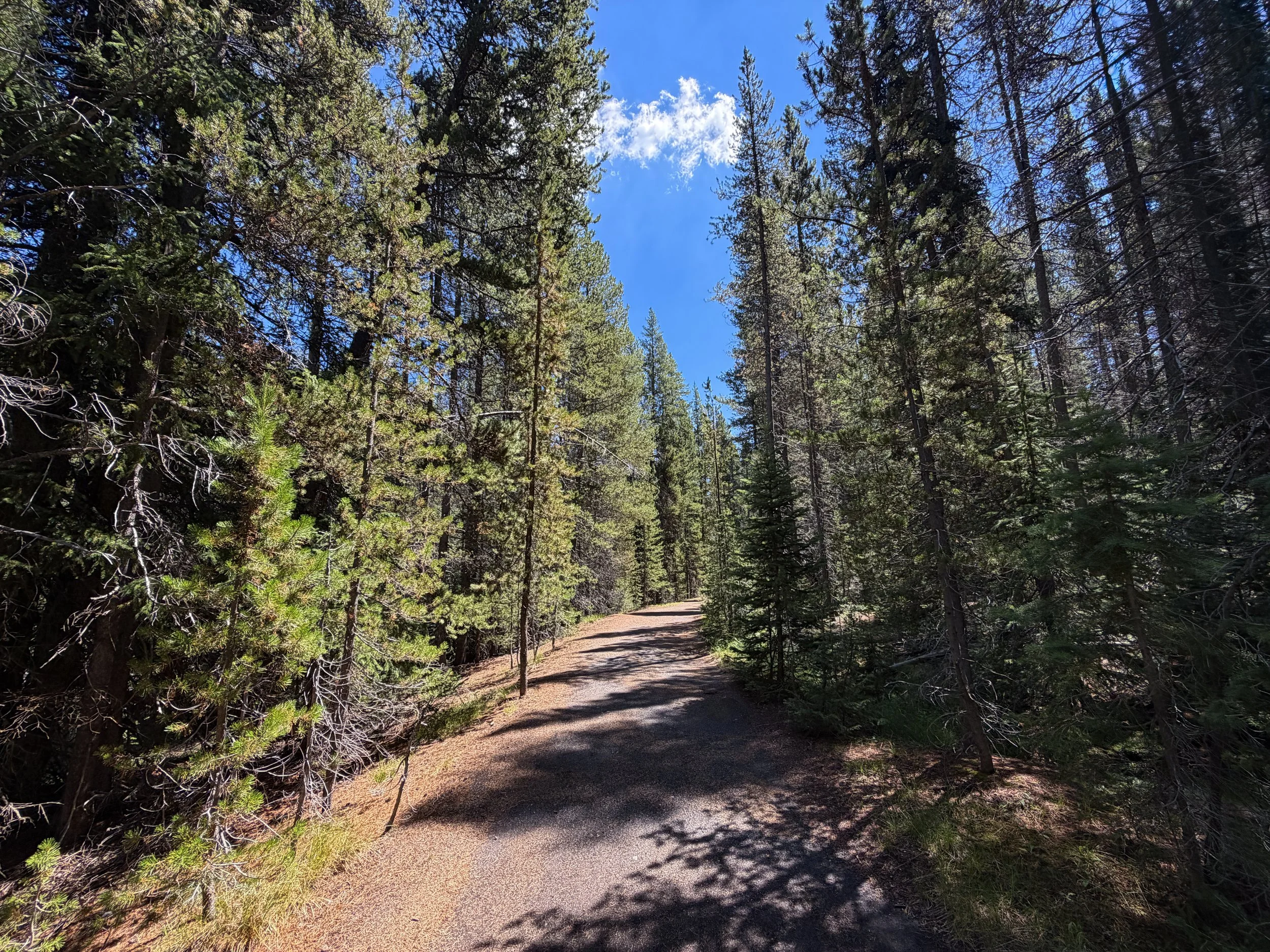 Lone Star Geyser Hike Yellowstone National Park Wyoming
