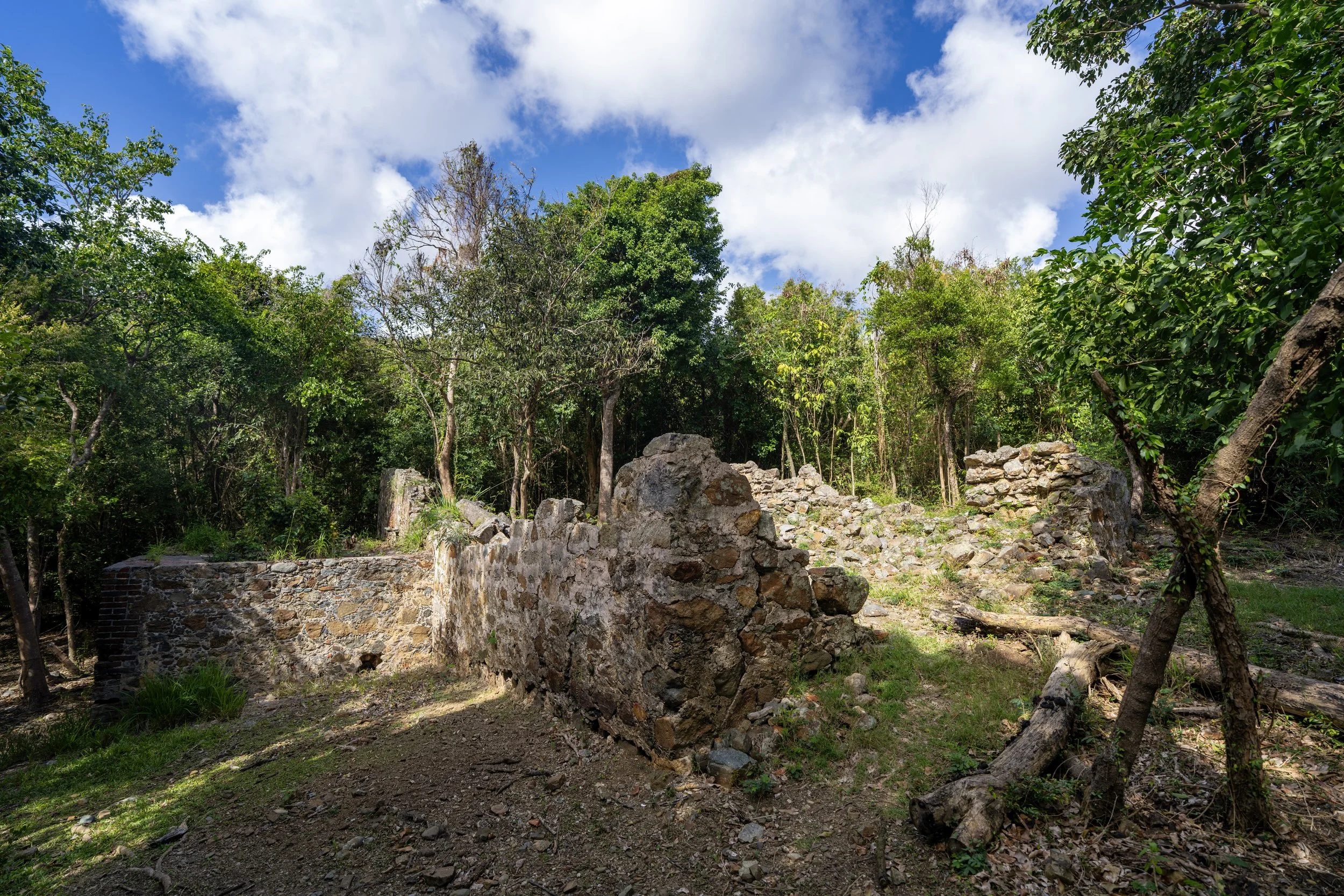 Great Sieben Trail Ruins Virgin Islands National Park