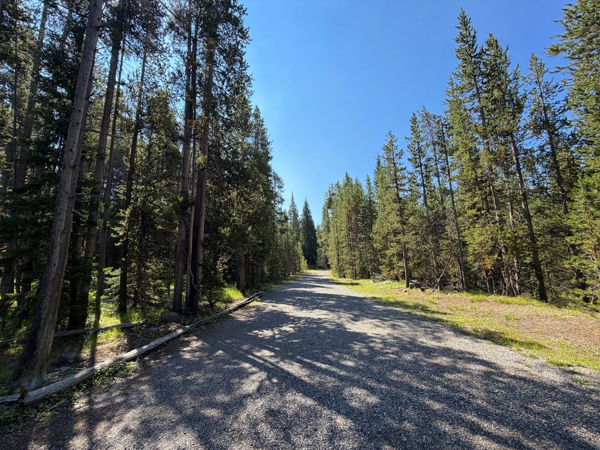 Lone Star Geyser Trail Yellowstone National Park Wyoming