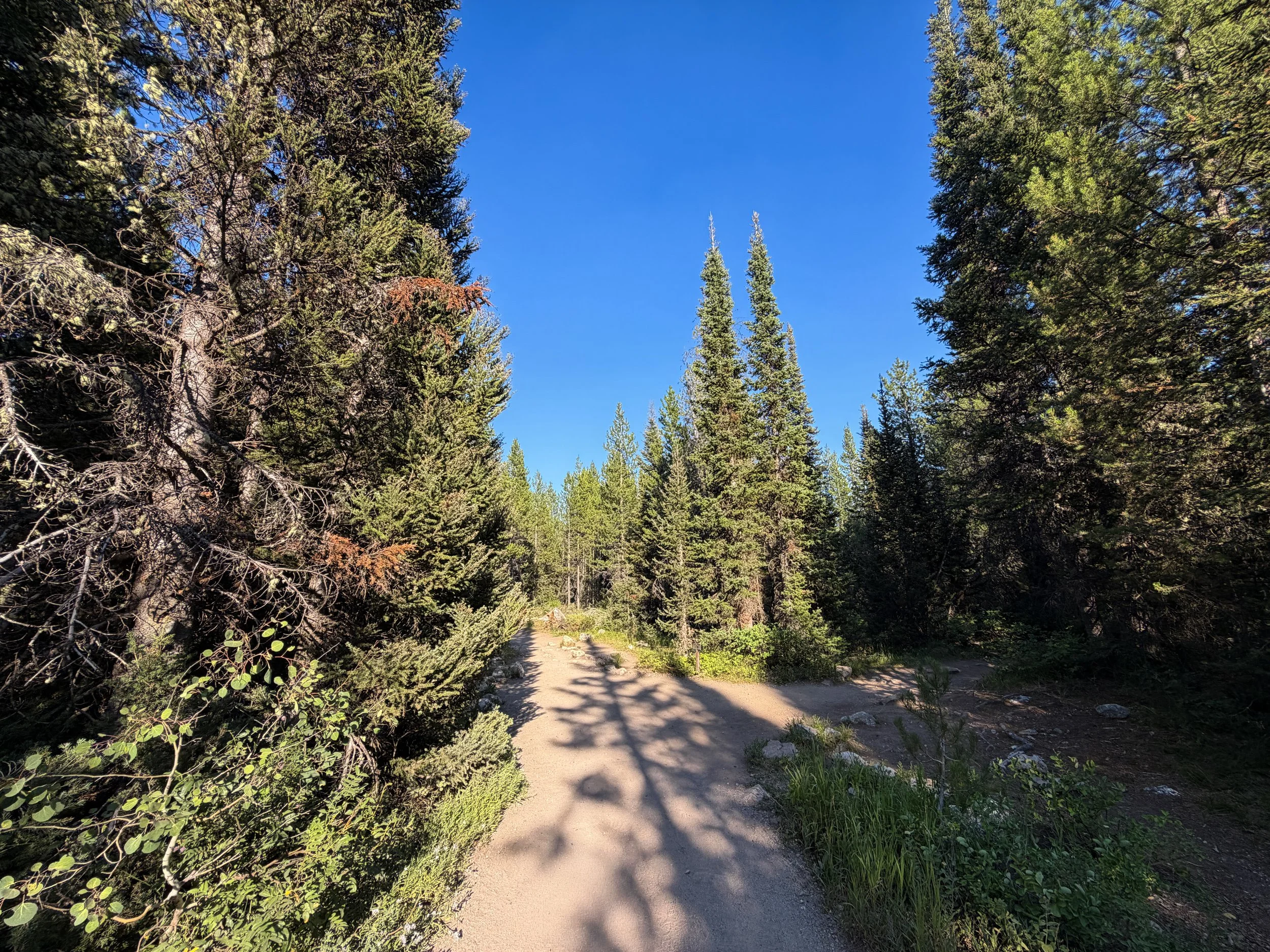 Moose Ponds Loop Trail Grand Teton National Park Wyoming