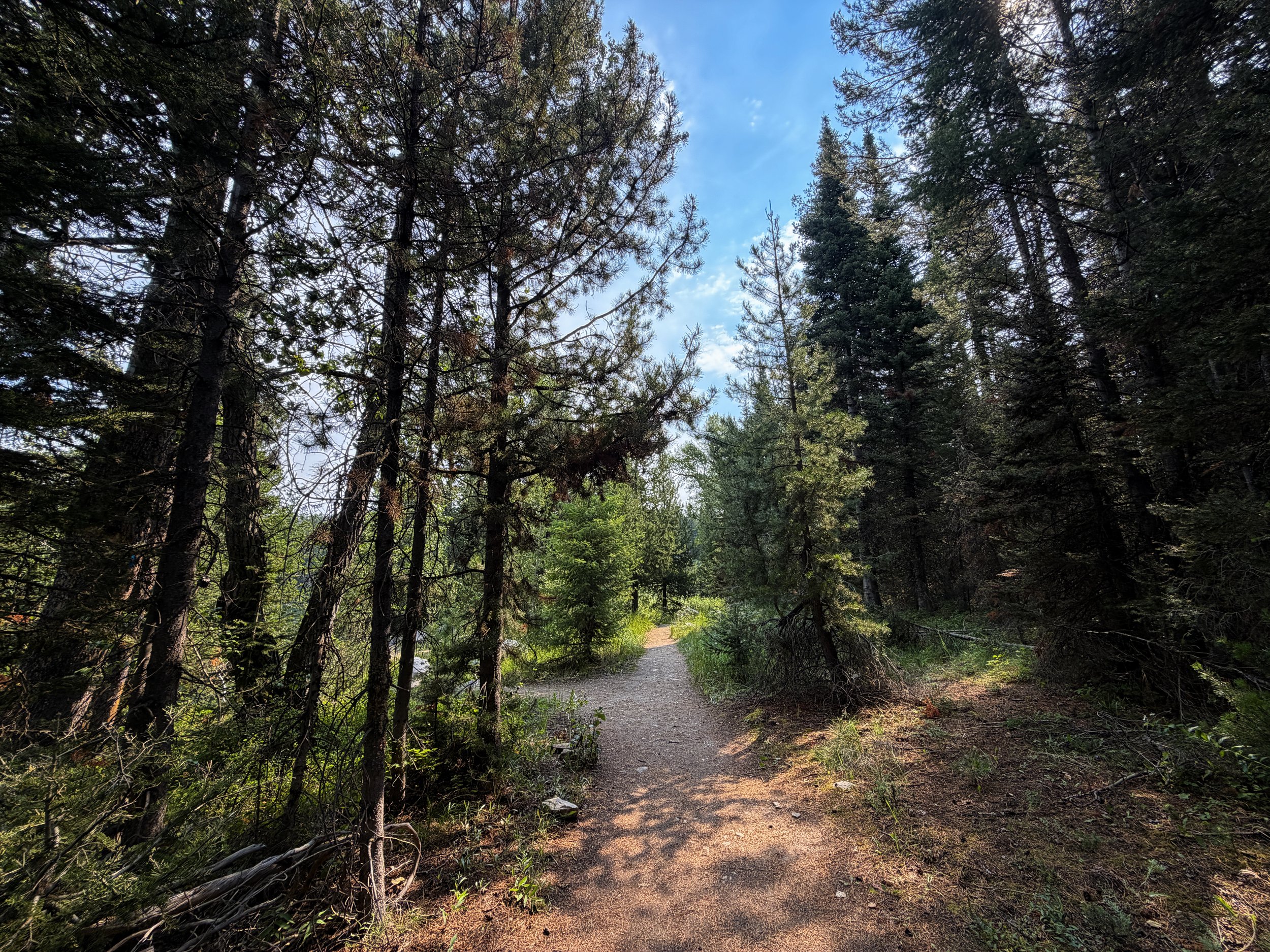 Boulder Ridge Trail Grand Teton National Park Wyoming