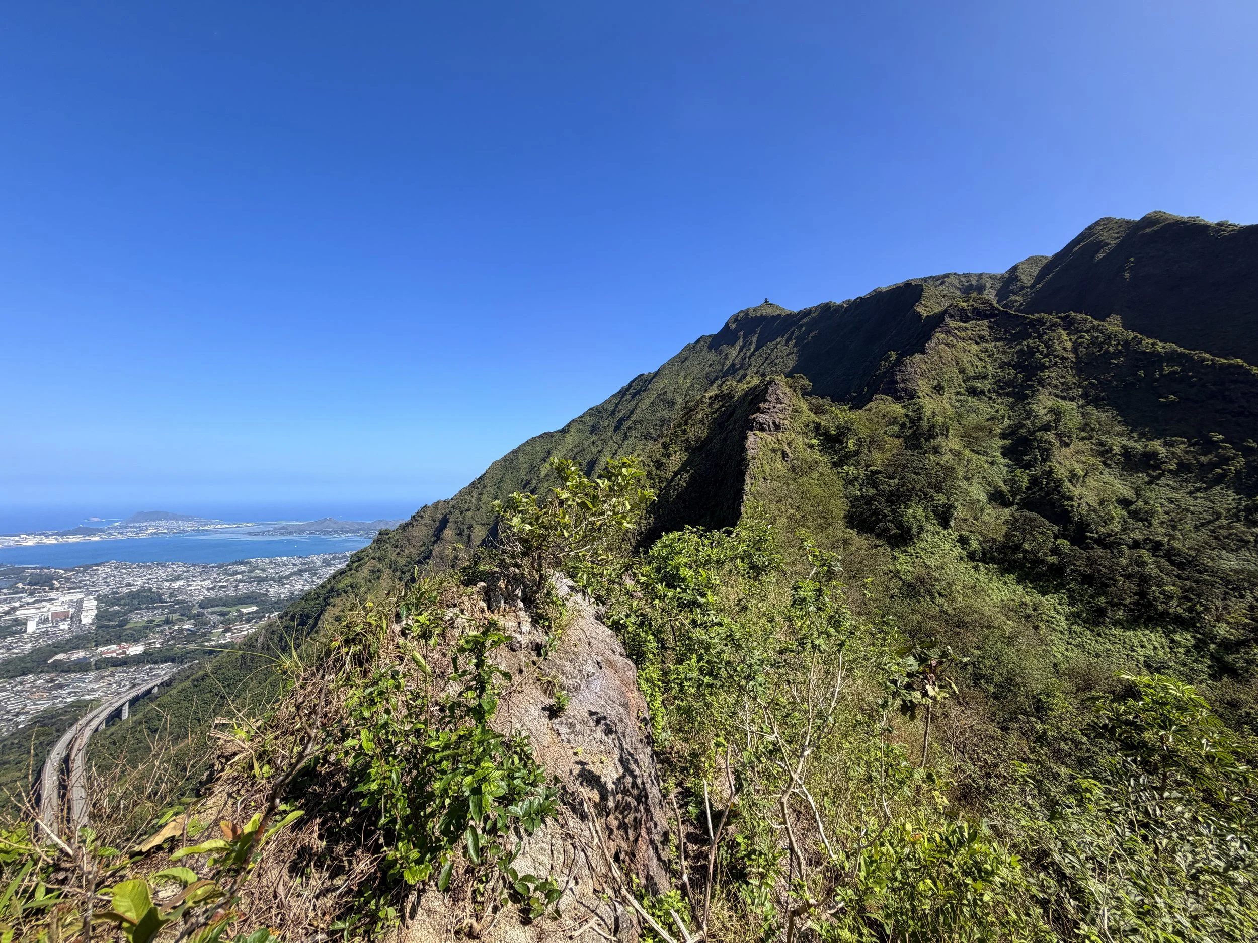 Moanalua Saddle Koolau Summit Trail Oahu Hawaii