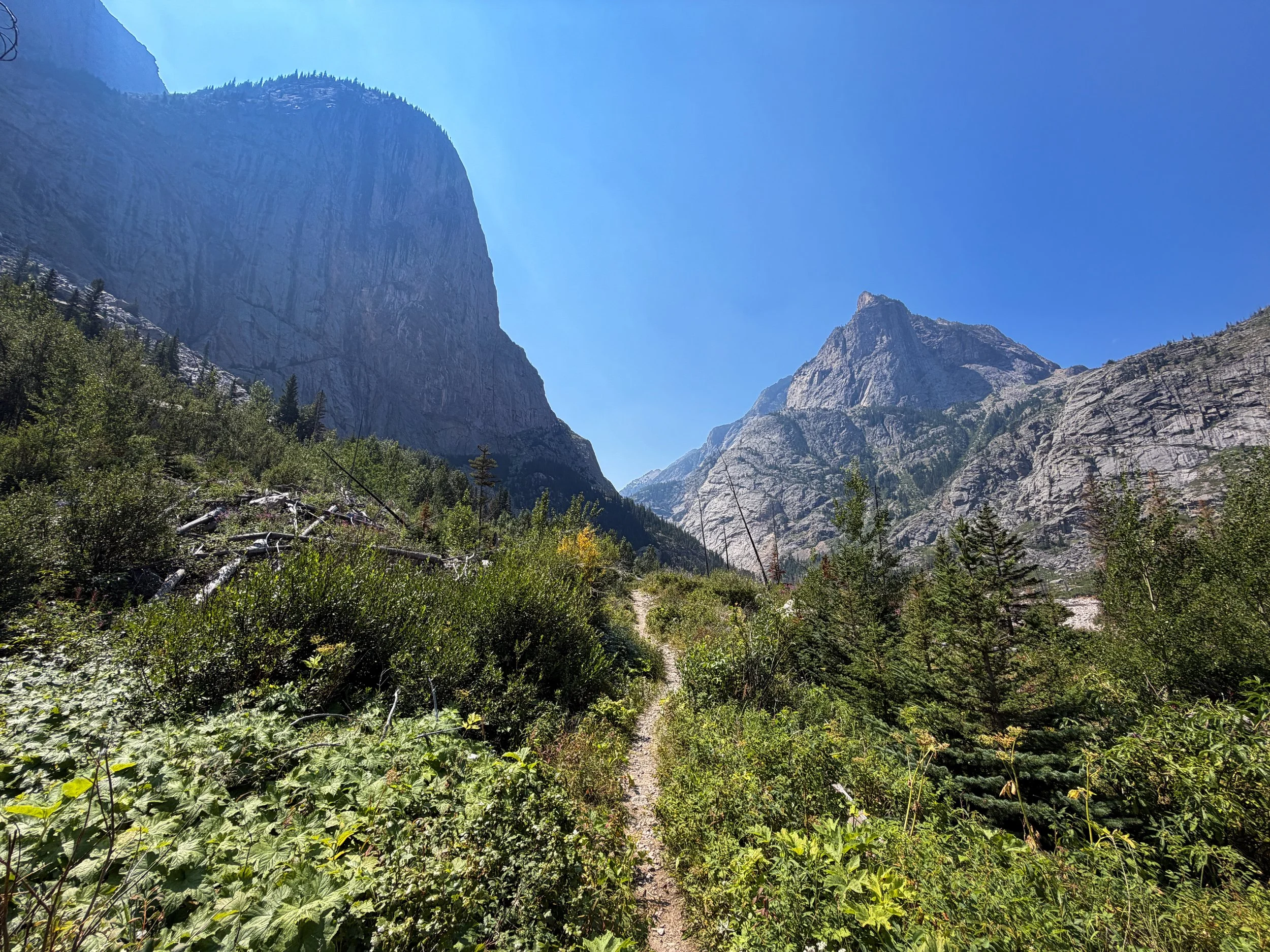 East Rosebud Trail Beaten Path Beartooth Mountains Montana