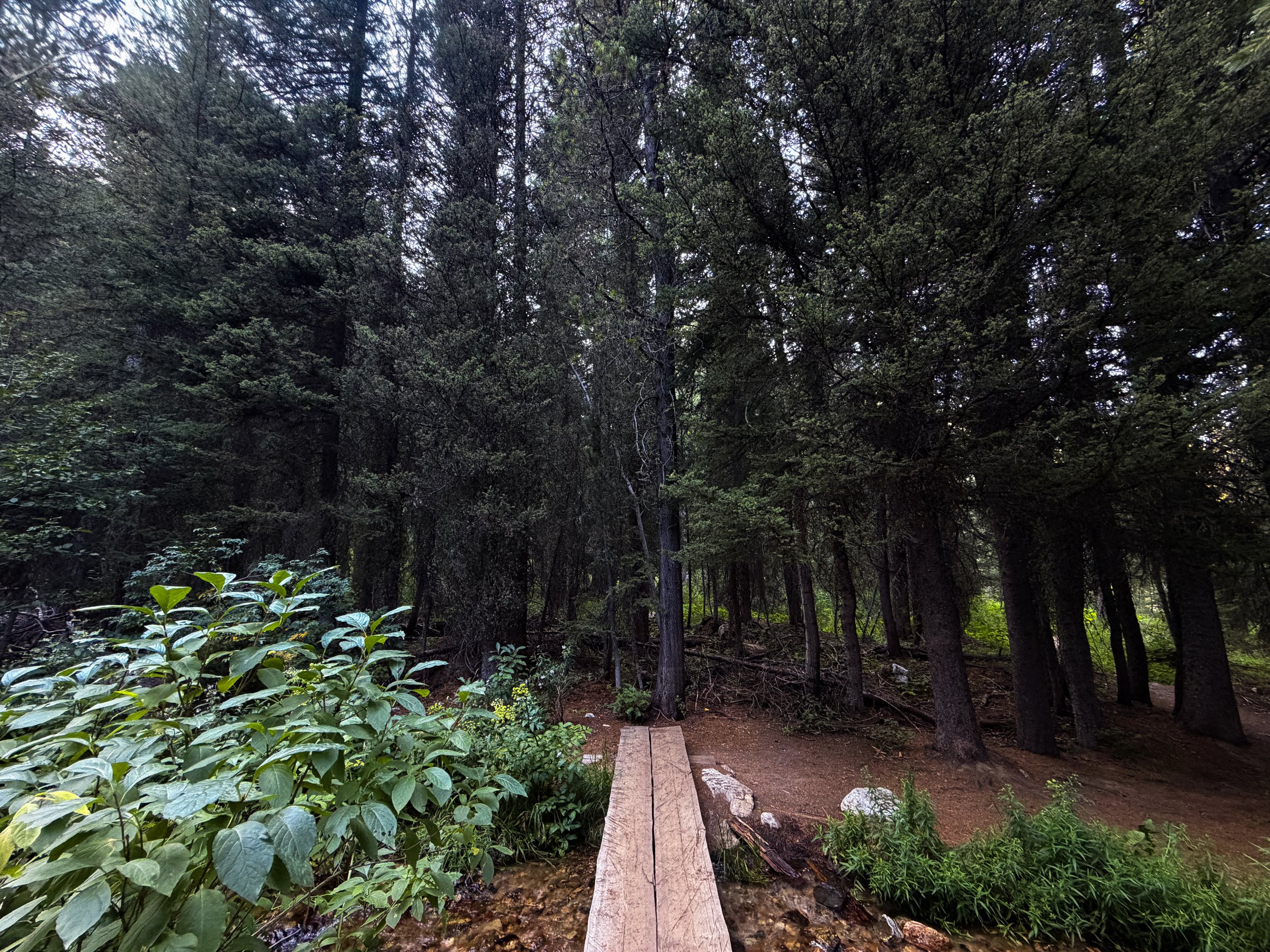 Moose Ponds Loop Hike Grand Teton National Park Wyoming